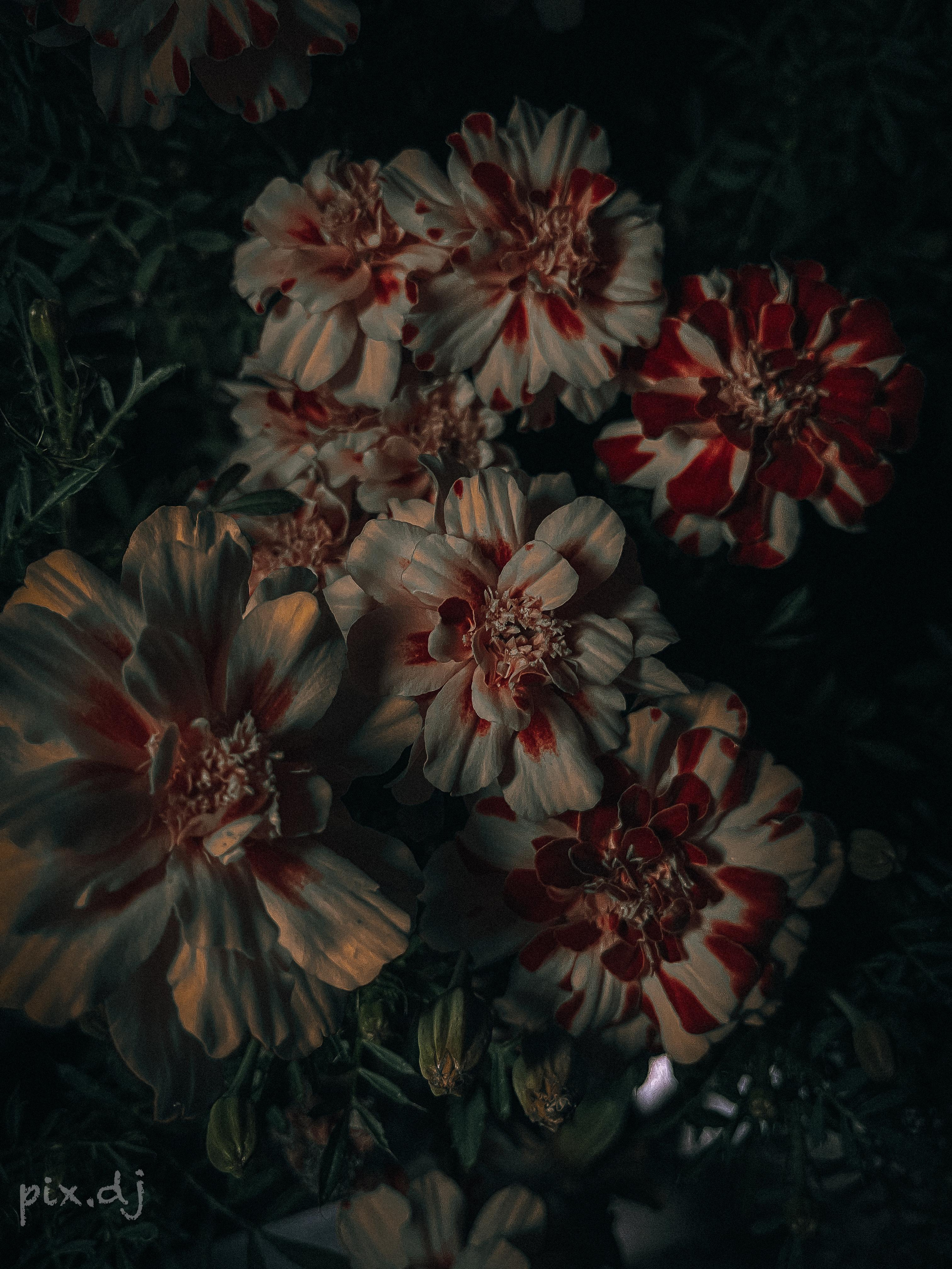 Фото для наслаждения. Фотограф и ретушер в Москве