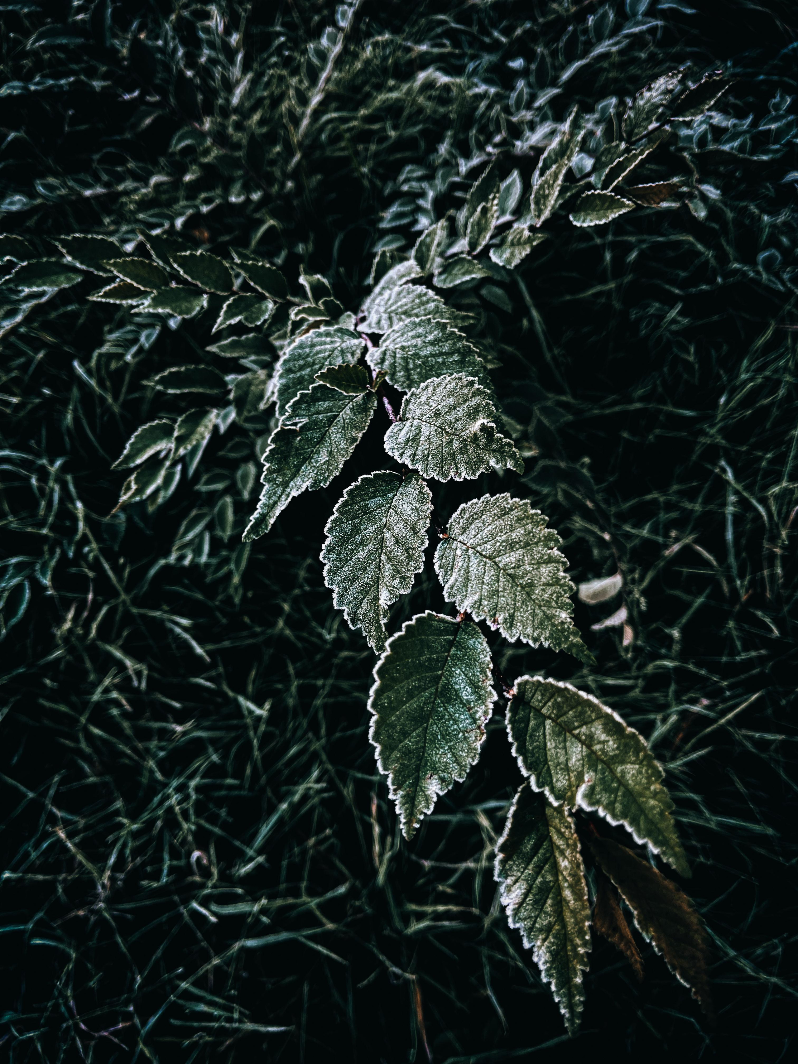 Фото для наслаждения. Фотограф и ретушер в Москве