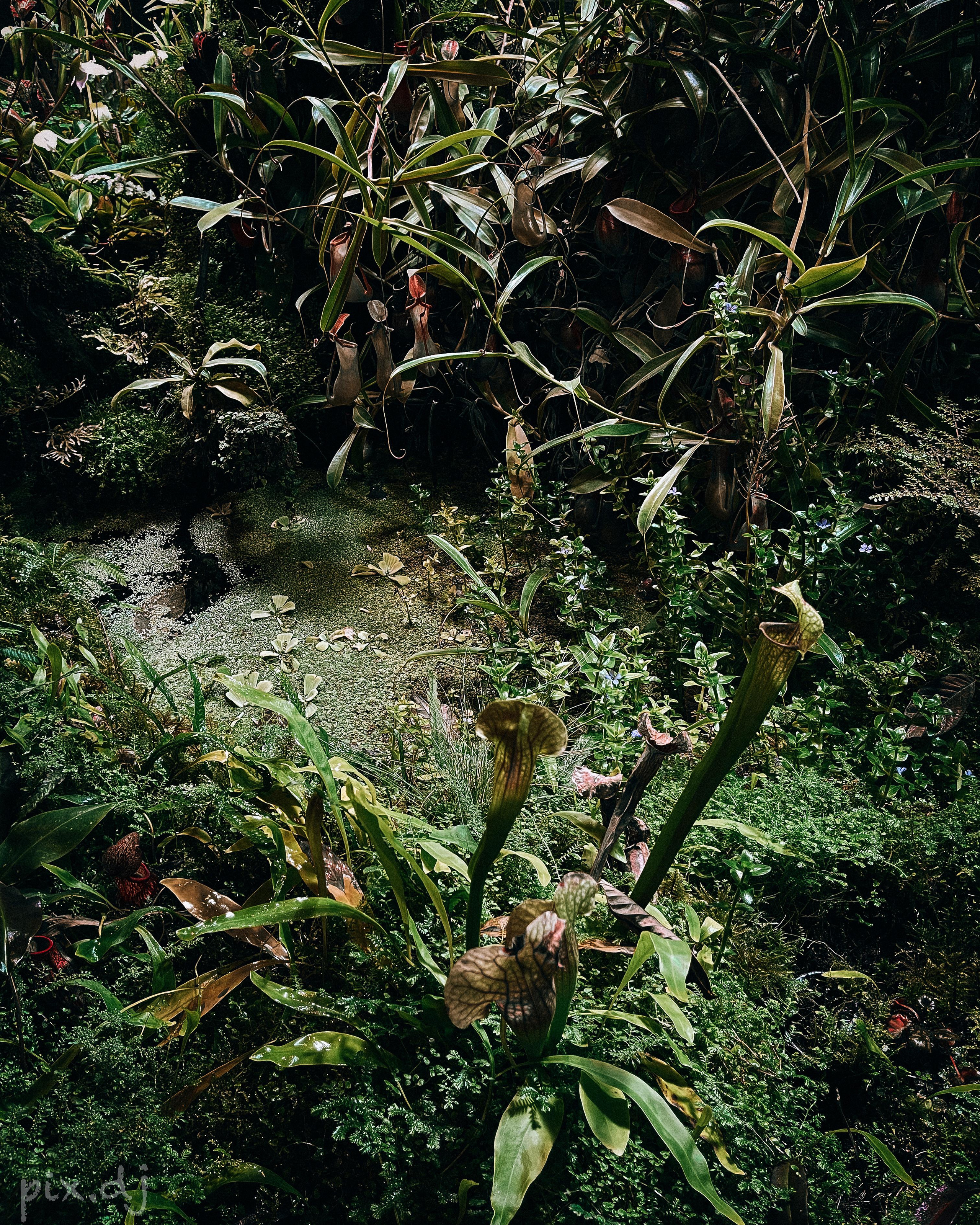 Фото для наслаждения. Фотограф и ретушер в Москве