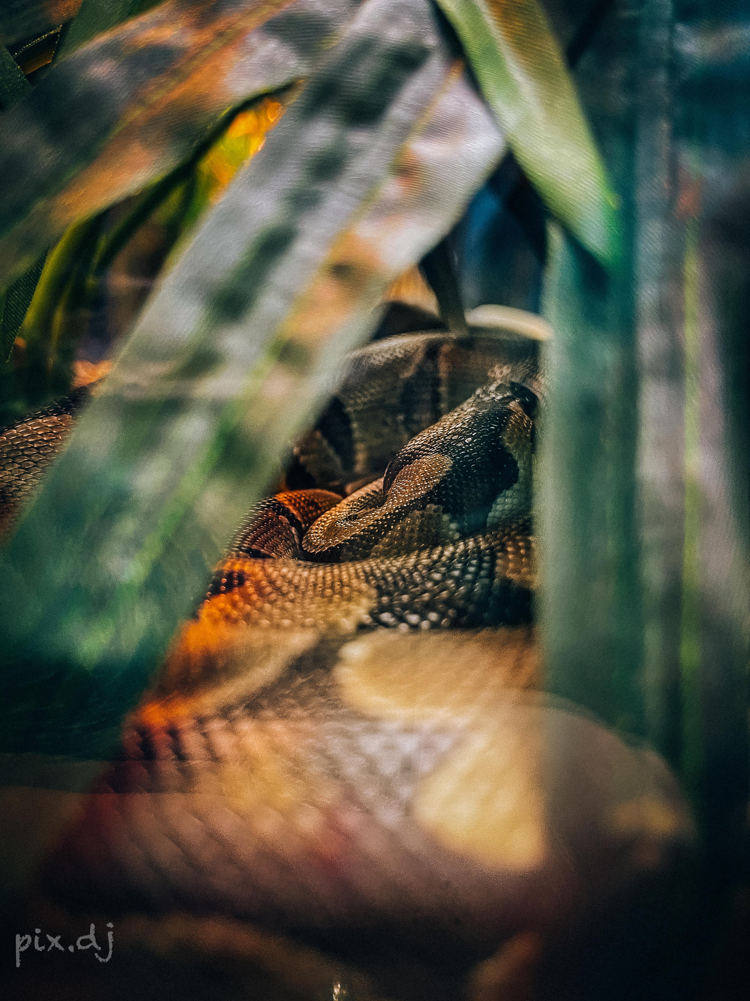 Фото для наслаждения. Фотограф и ретушер в Москве