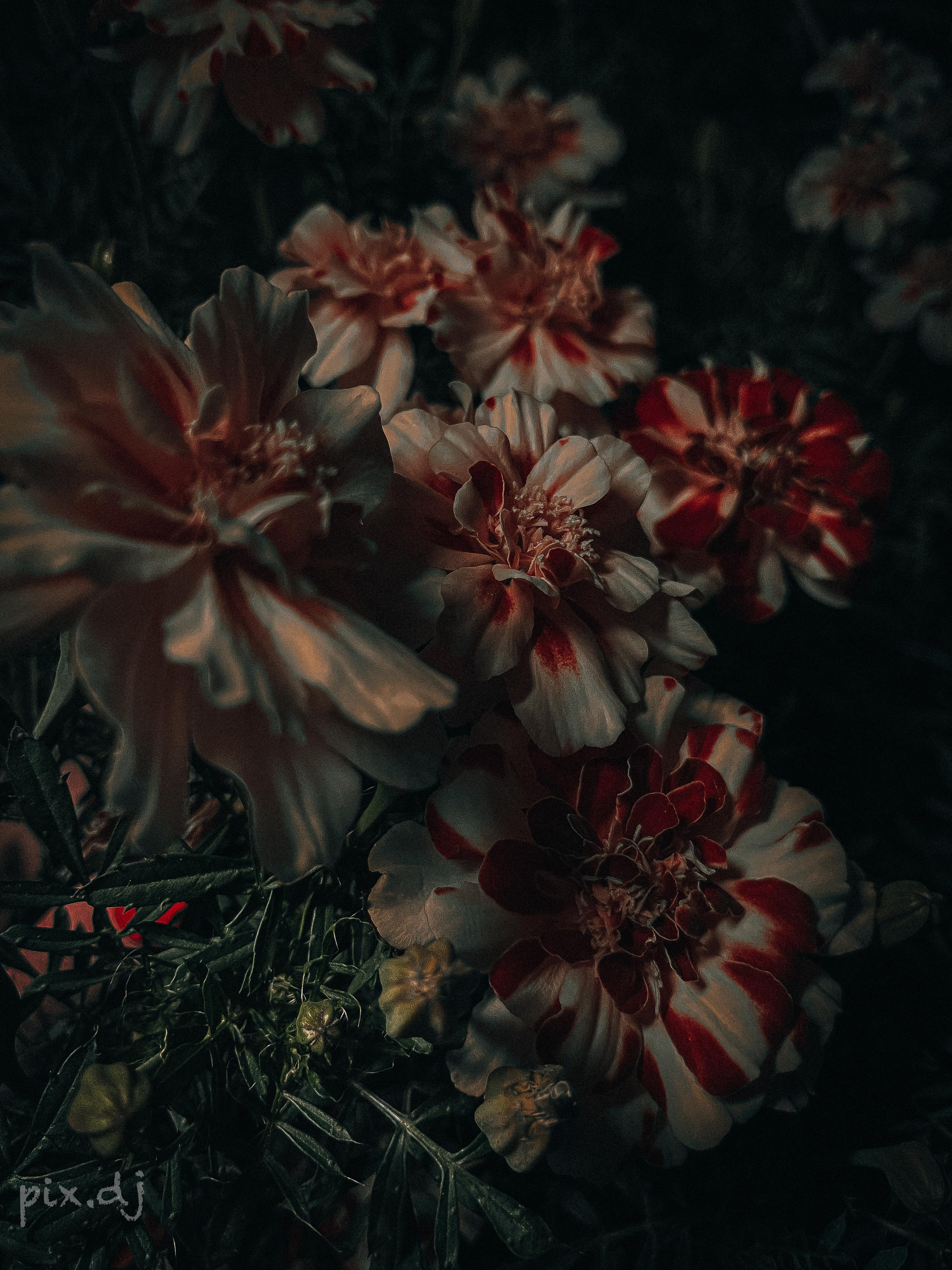 Фото для наслаждения. Фотограф и ретушер в Москве