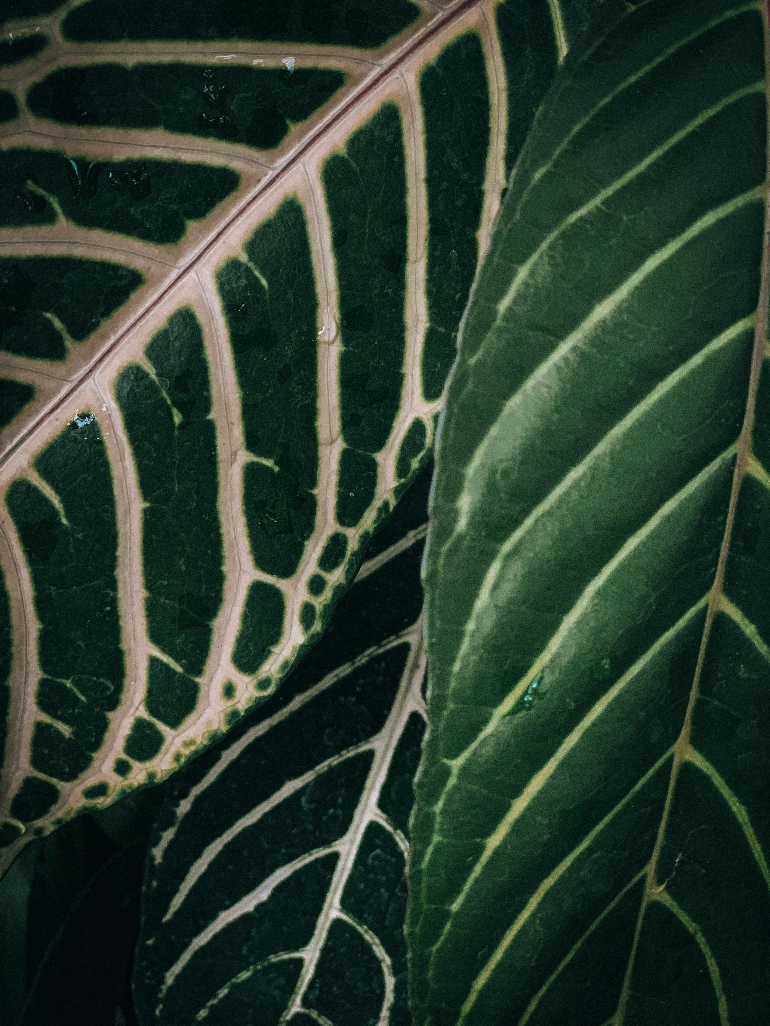 Фото для наслаждения. Фотограф и ретушер в Москве