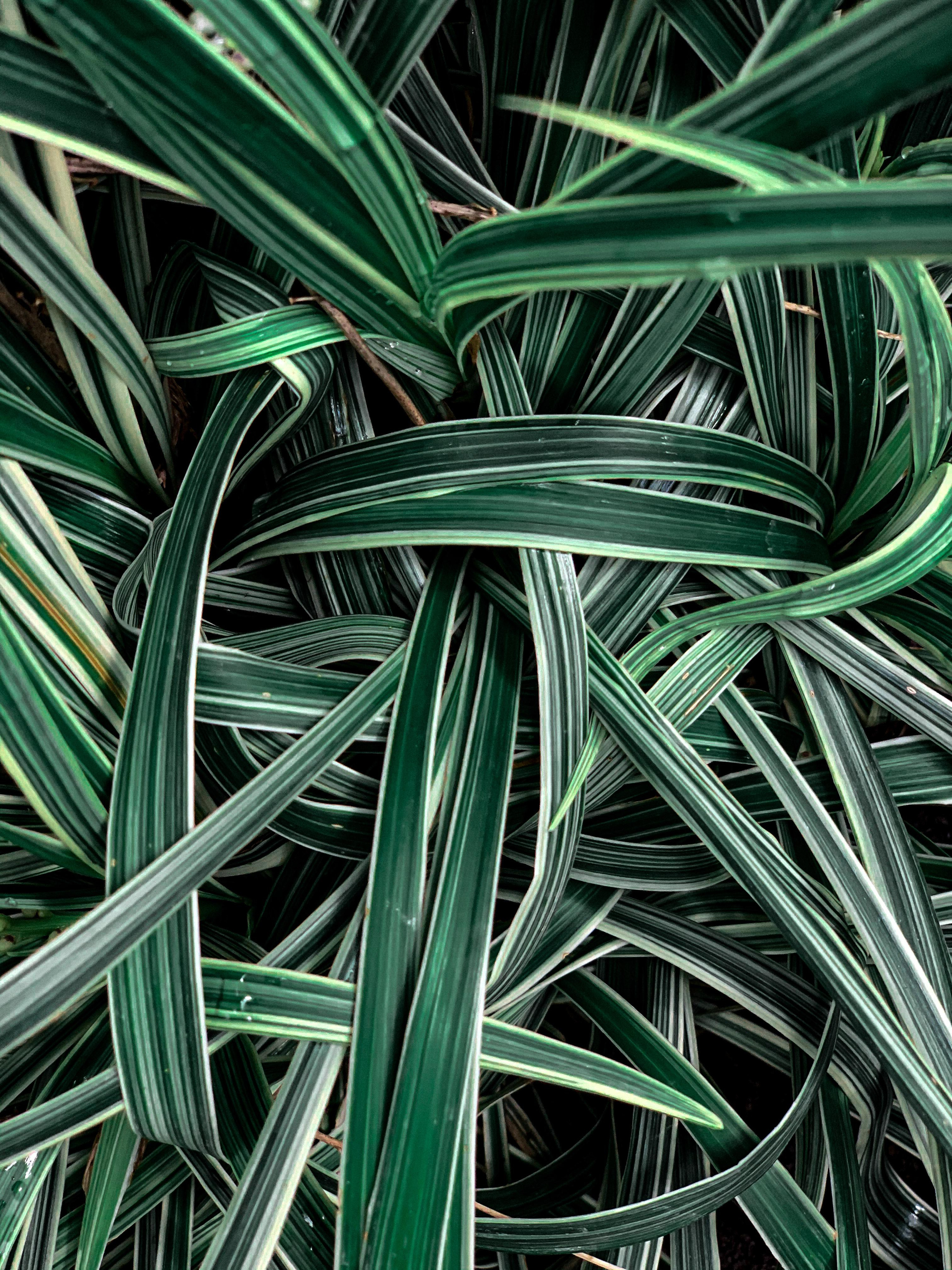 Фото для наслаждения. Фотограф и ретушер в Москве