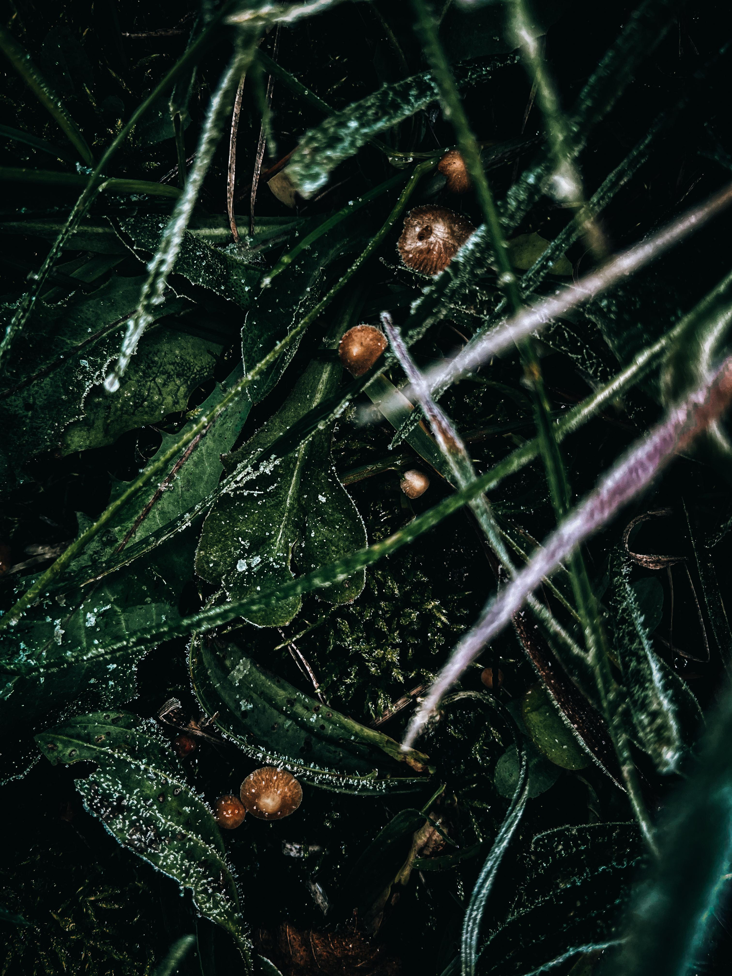 Фото для наслаждения. Фотограф и ретушер в Москве