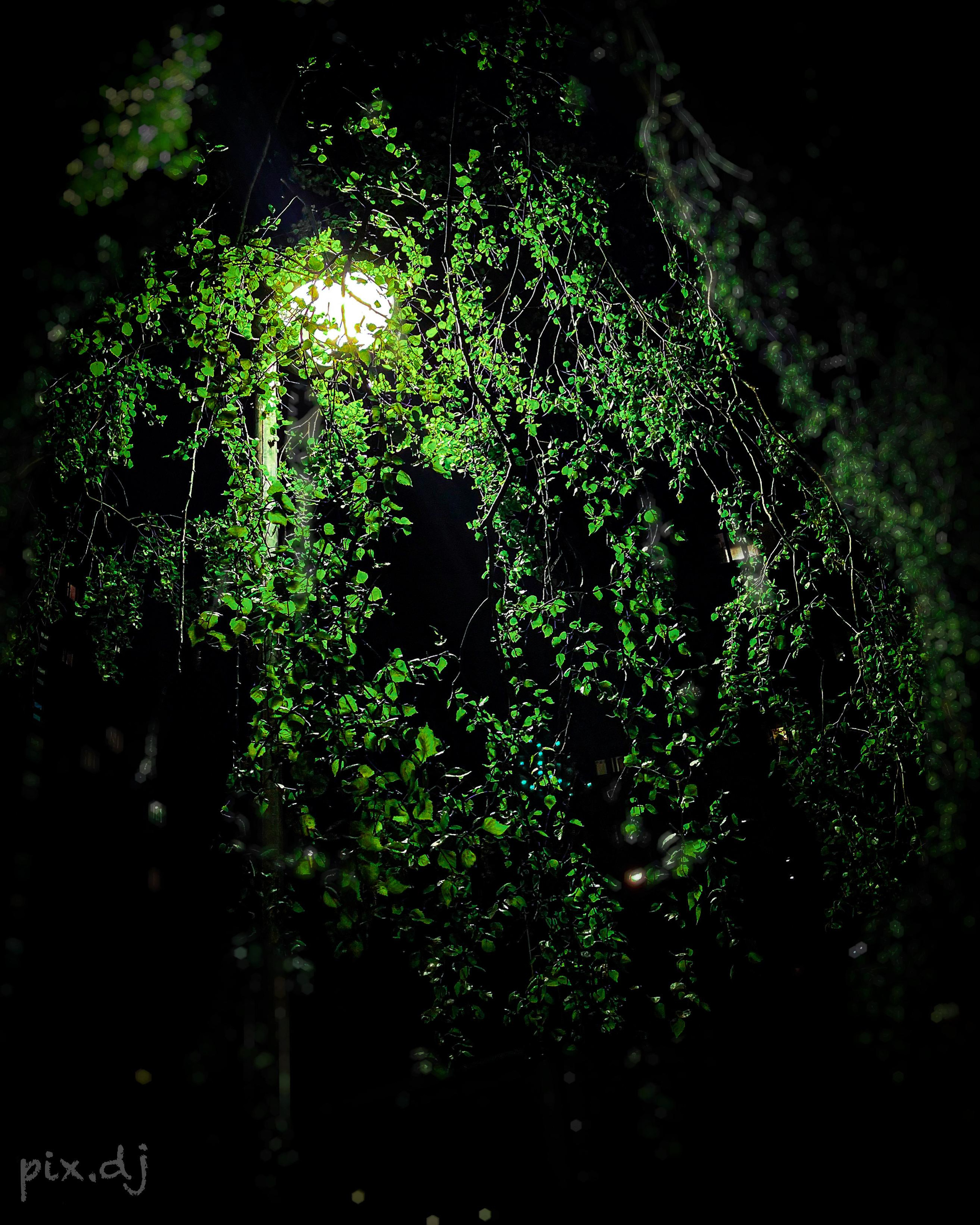 Фото для наслаждения. Фотограф и ретушер в Москве