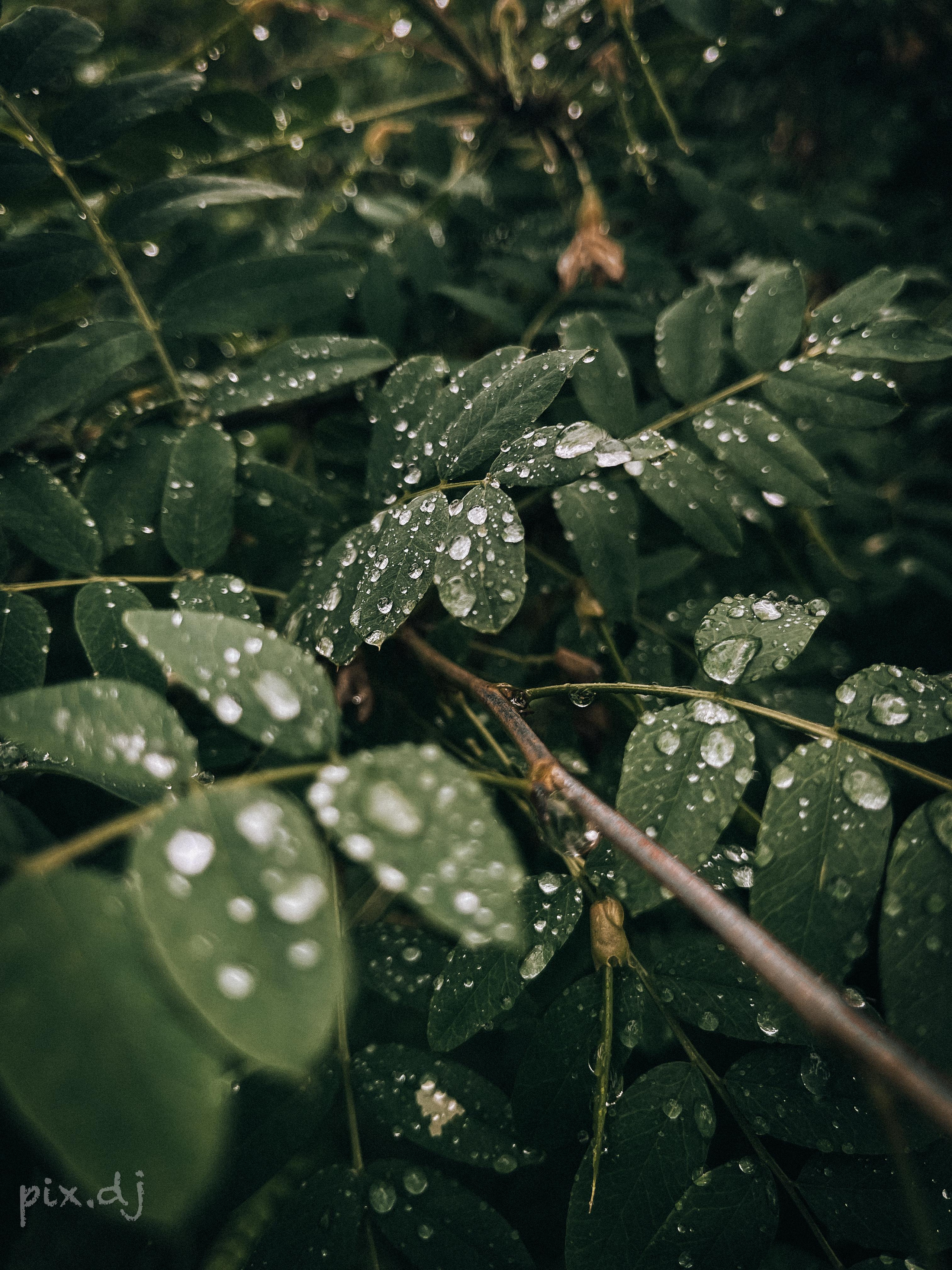 Фото для наслаждения. Фотограф и ретушер в Москве