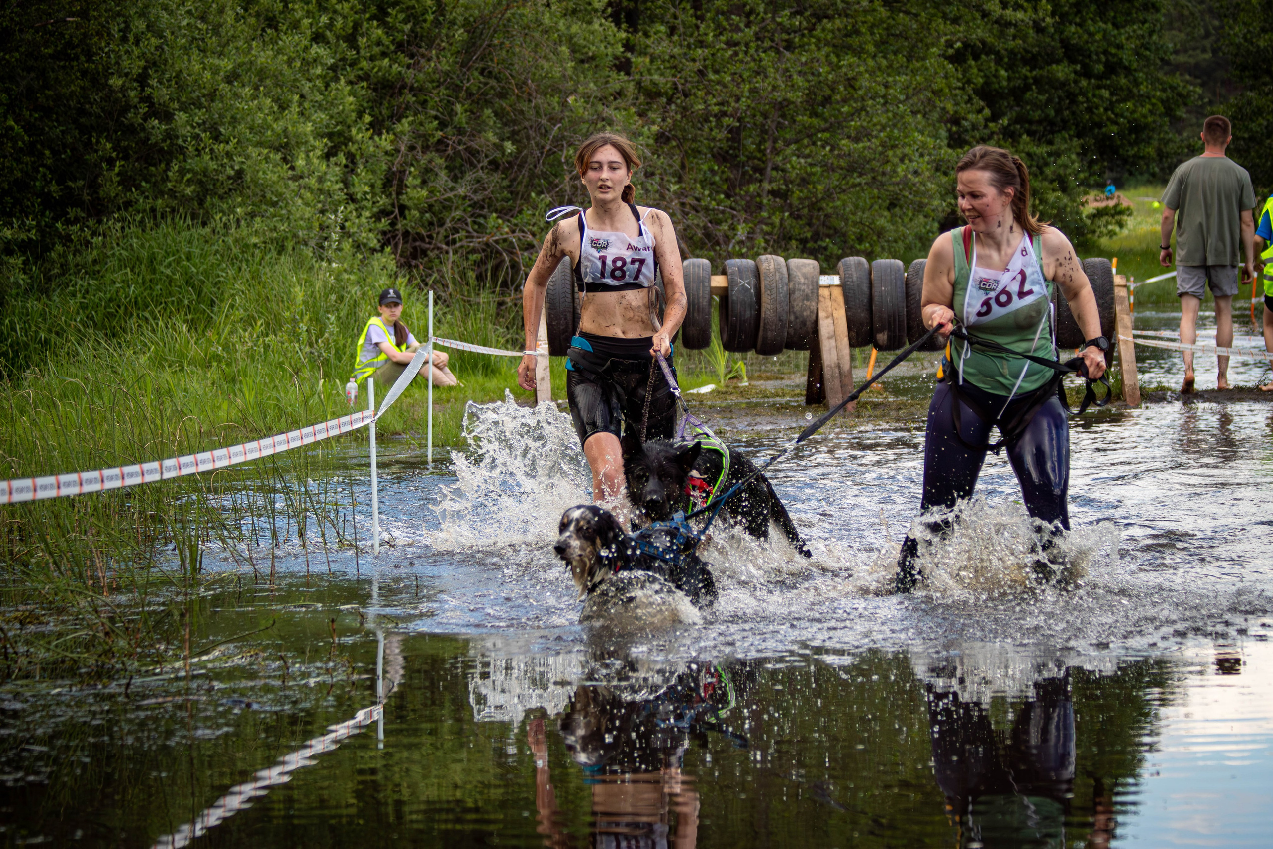 Хвостатый Драйв 2024. Фотограф анималист — Тула, Москва