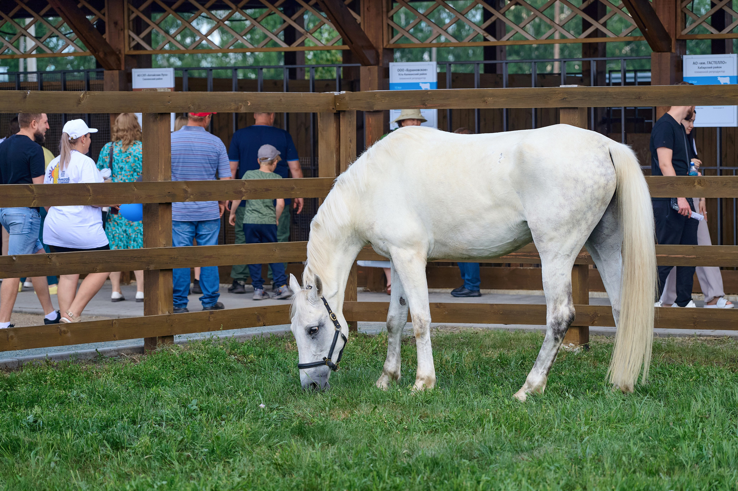 День поля. Фотограф Опыт Качество Скорость Горный Алтай Барнаул