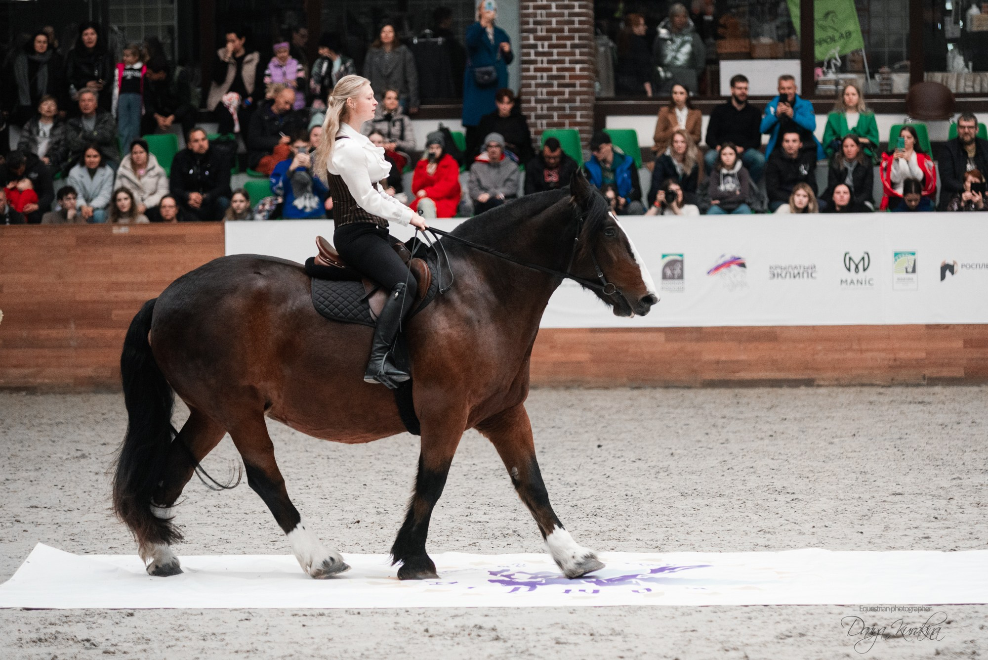 8-я международная выставка Конная Россия. Конный фотограф Куракина Дарья • Фотосессии с лошадьми