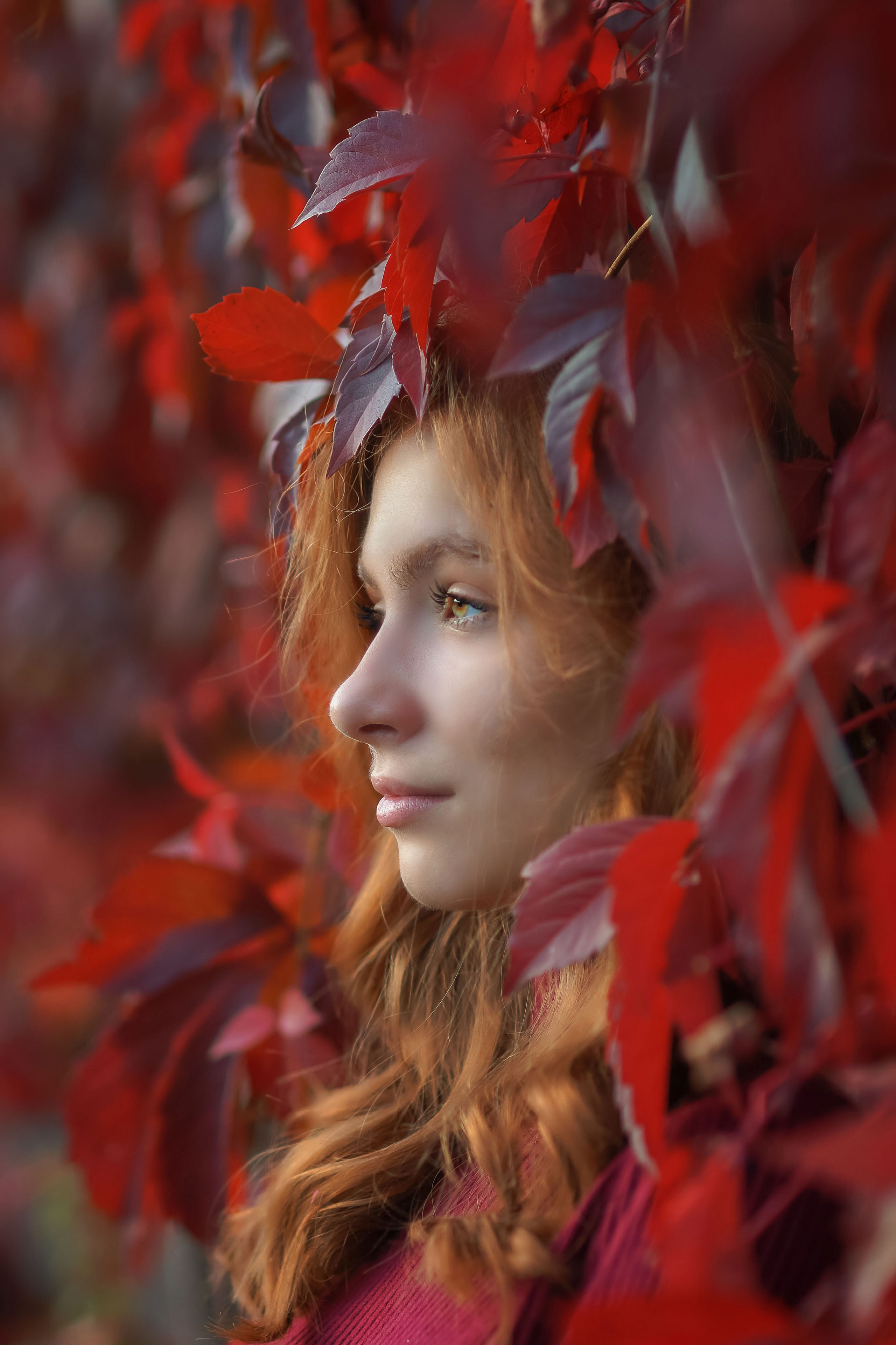 Аня. Семейный и детский фотограф Троицк Москва