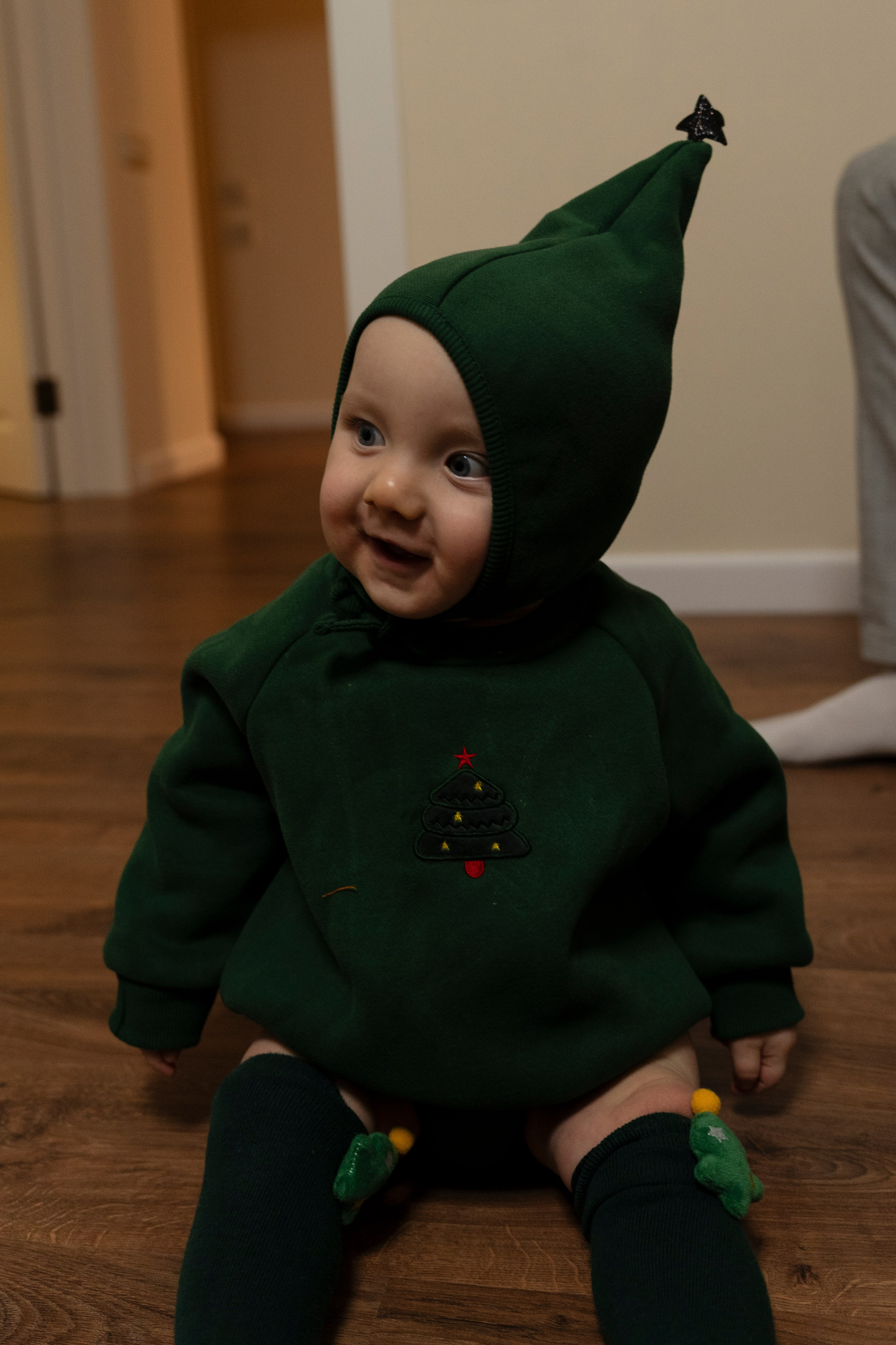 Новогодние тройняшки. Главная