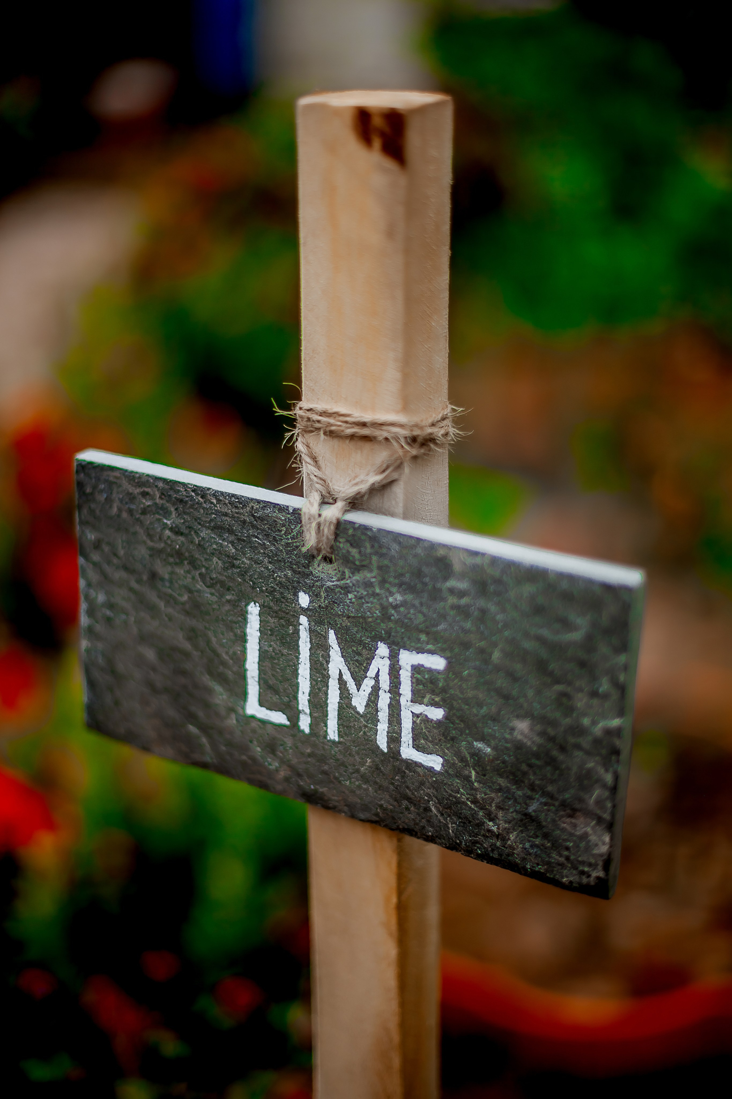 Репортажный фотограф Ялта. Репортажный фотограф Ялта