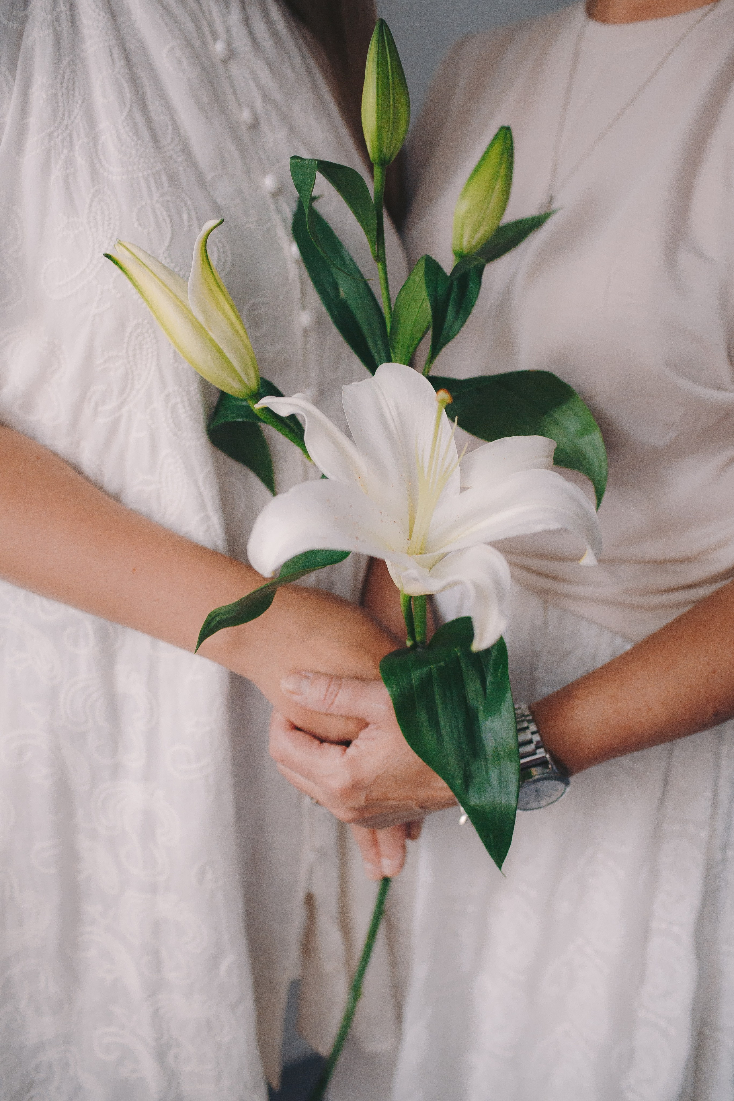 Контент-съёмка для цветочного магазина. Фотограф Евгения Мальцева, Архангельск