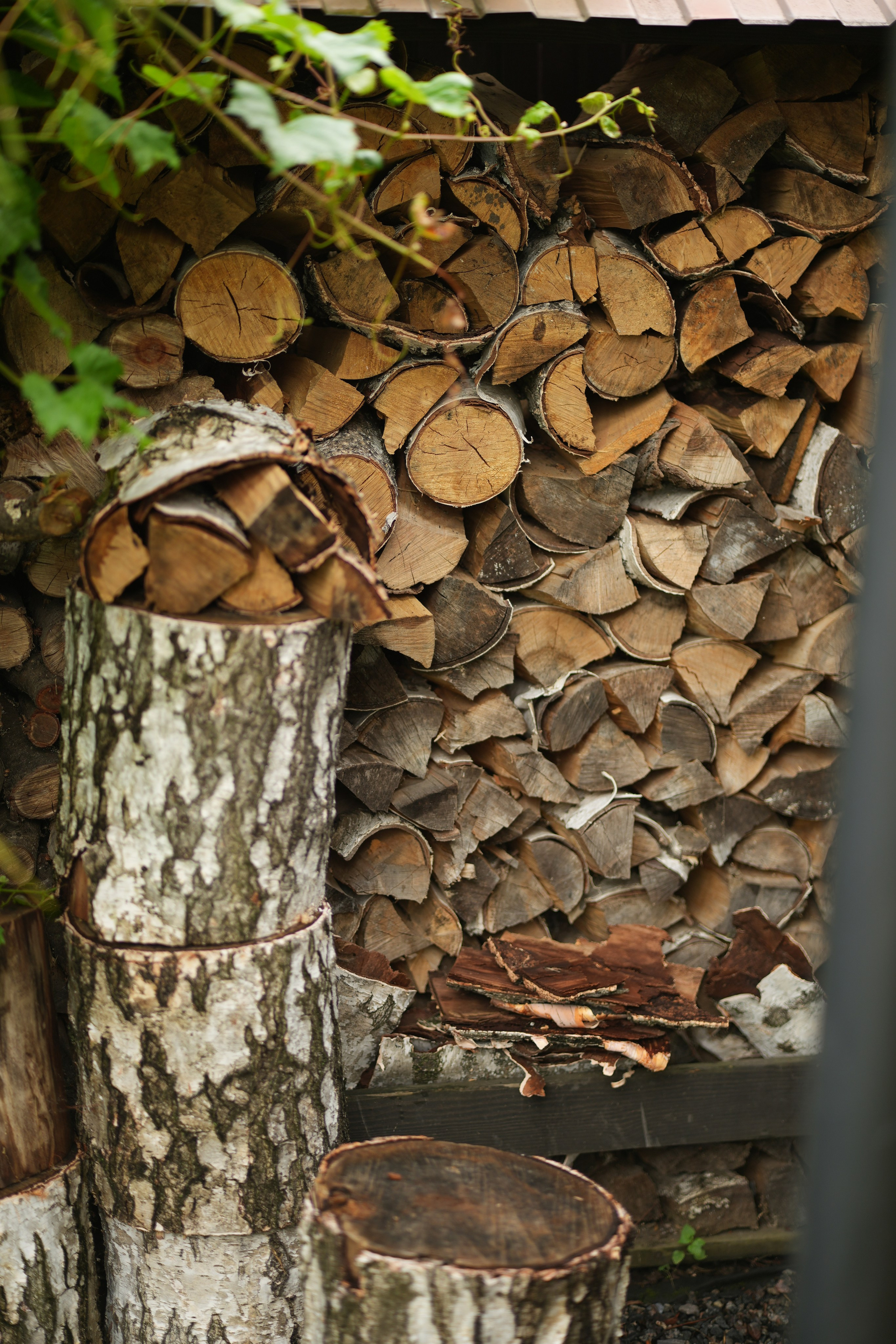 Час 1500 пример фотосессии пакет «ФОТО НА ПАМЯТЬ» (без обработки). Фотограф Нижний Новгород Татьяна Кэйод