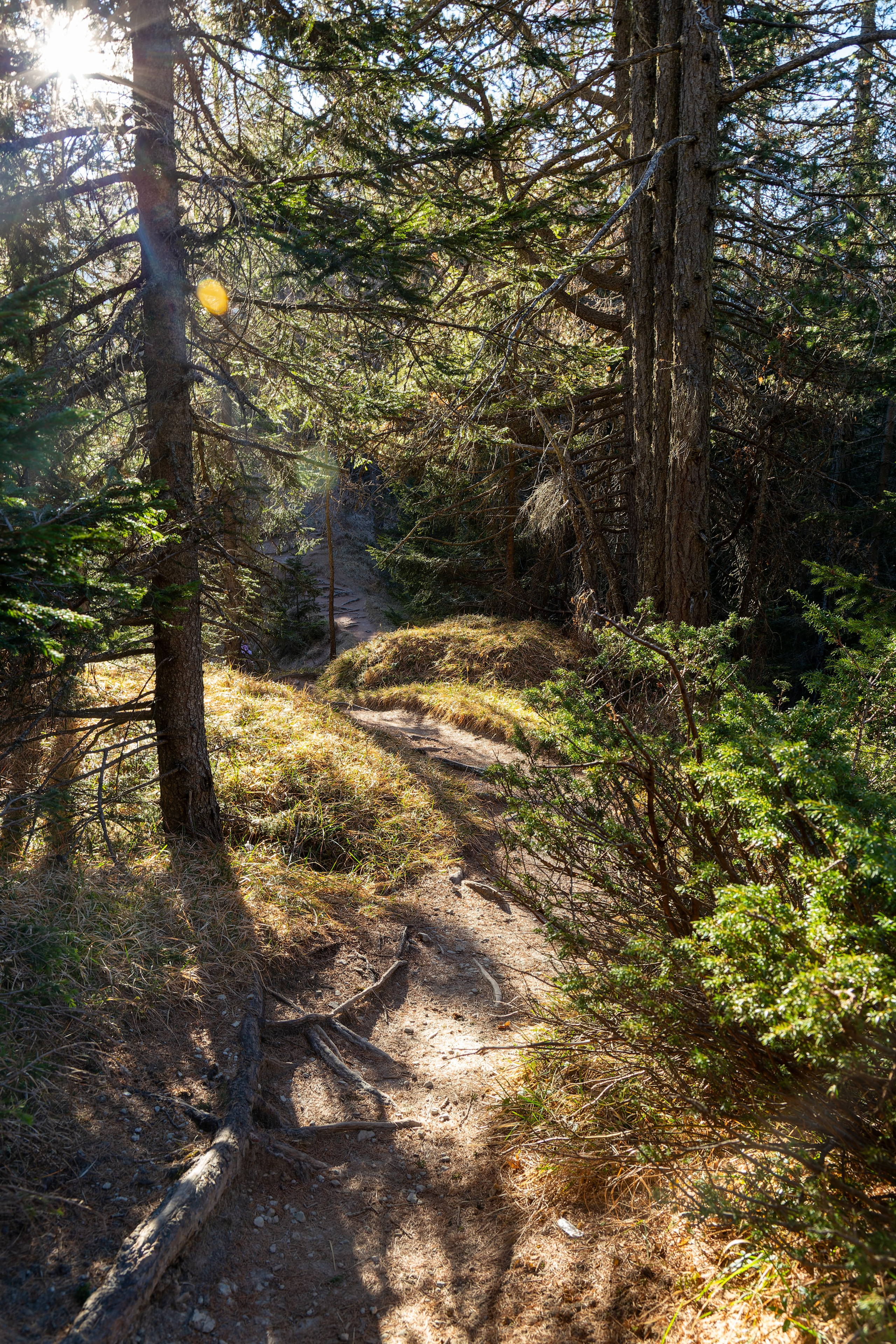 Фотосъёмка Альпы Италия, пейзажи и архитектура. «Студия DRONAVT`s» — видеосъёмка и фотография г. Москва