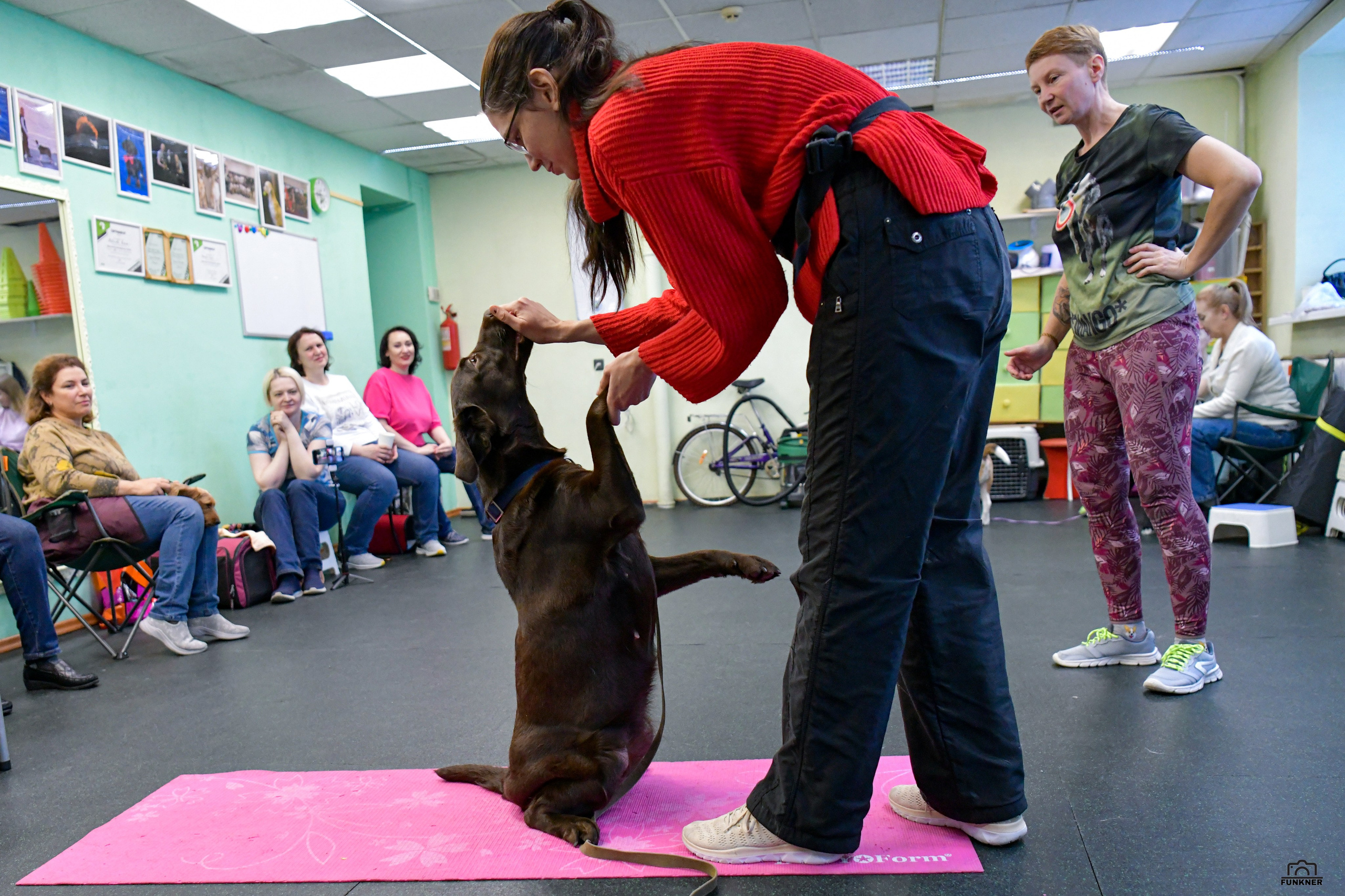 Кинологический клуб «Бодрый хвост». Свой взгляд через объектив