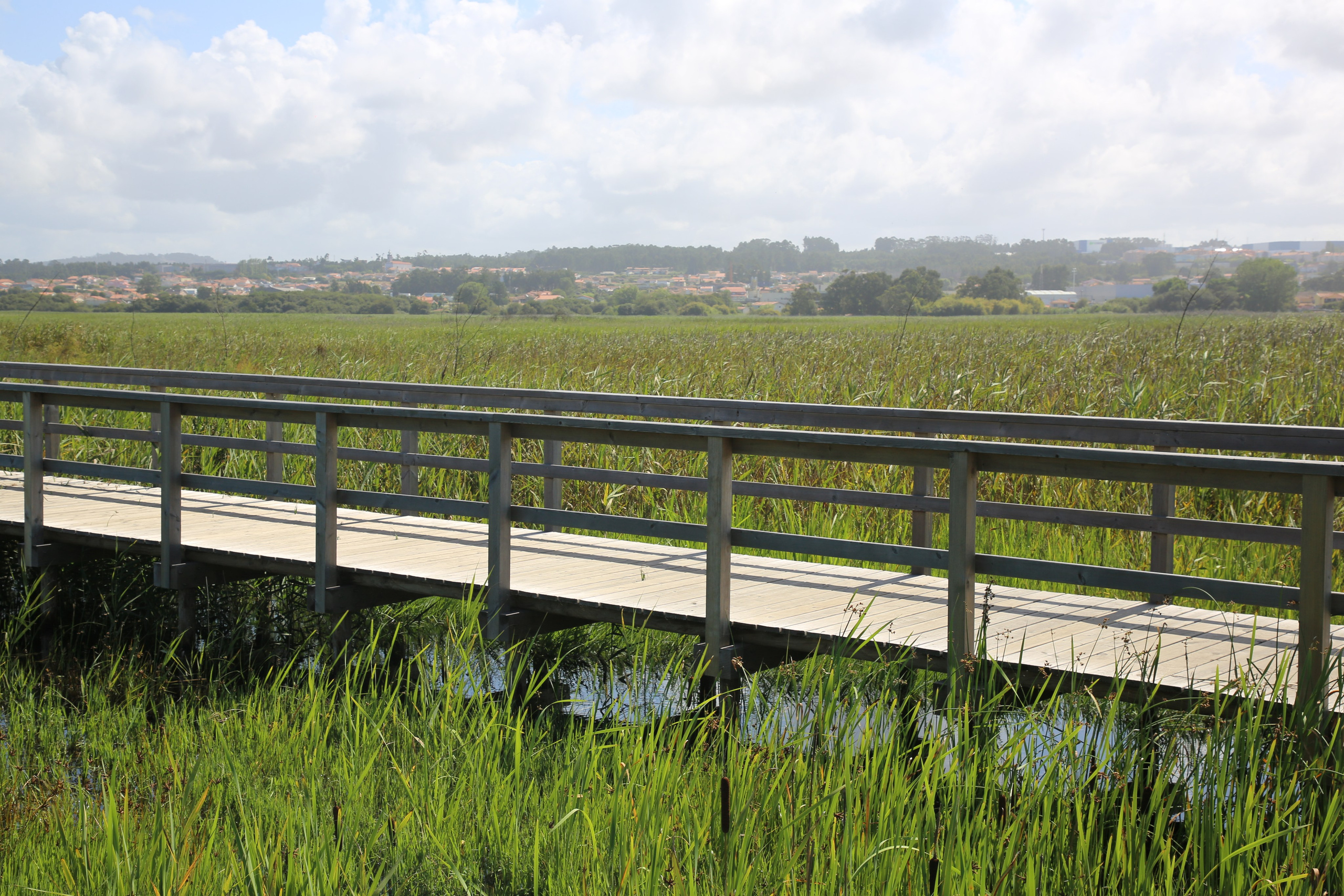 Esmoriz, Portugal. Andrey Filippov Photographer