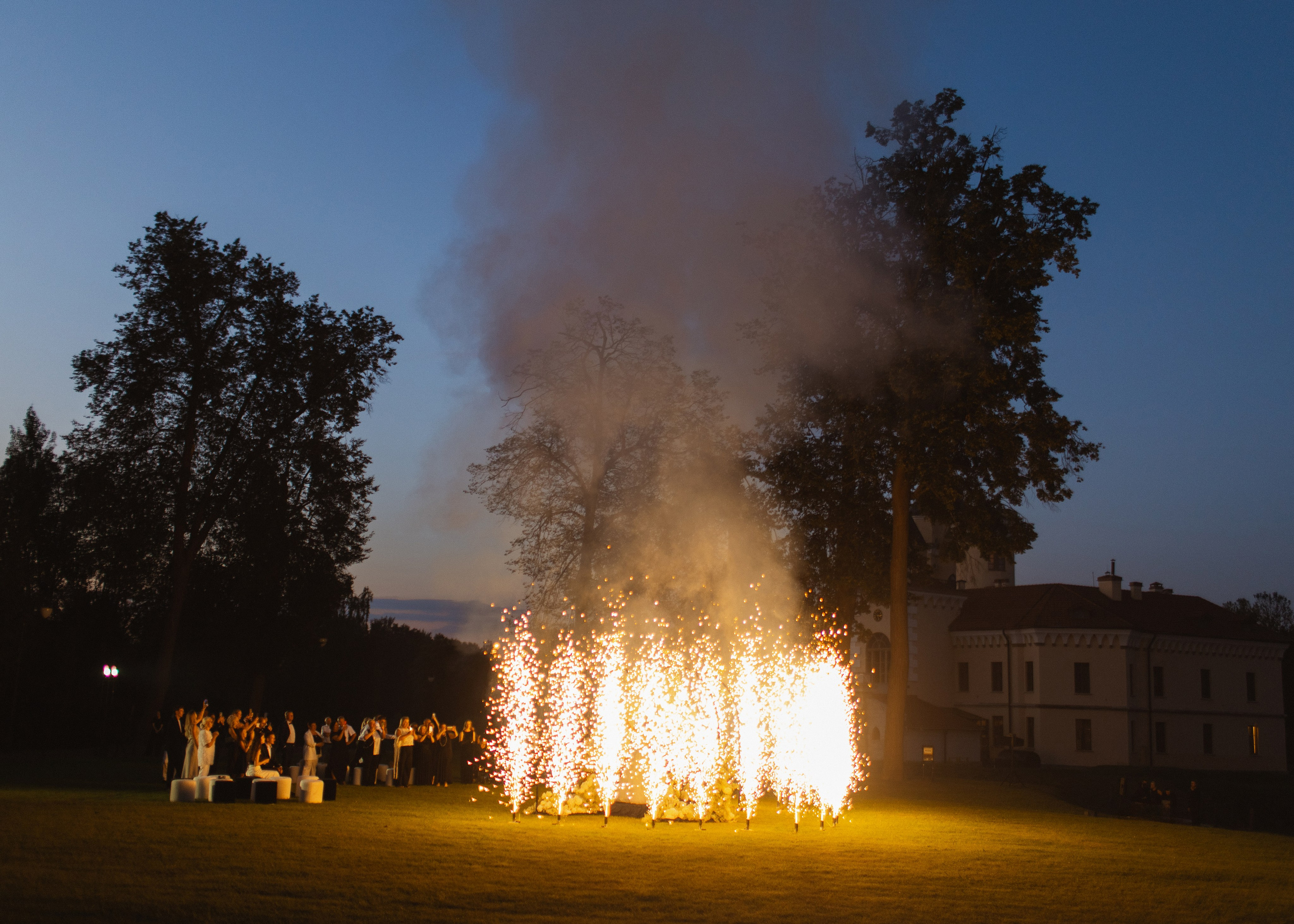 Artem & Anastasia • Castle Bip. Anna Fridenberg | wedding photographer