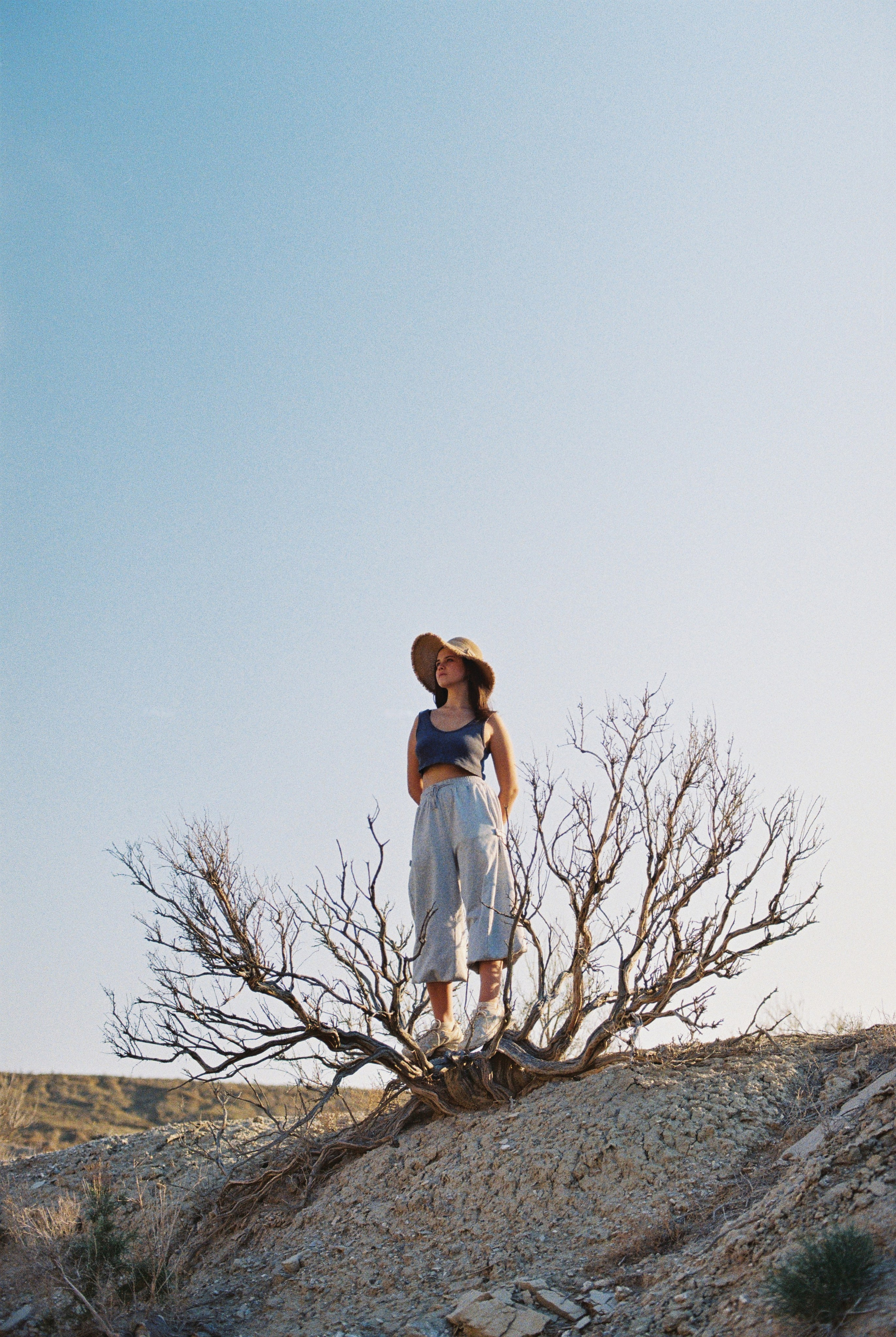 Алтын эмель/Или/Курты, плёнка 2025. Фотограф в Алматы — Алексей Коньков | Репортаж, свадьбы, портреты