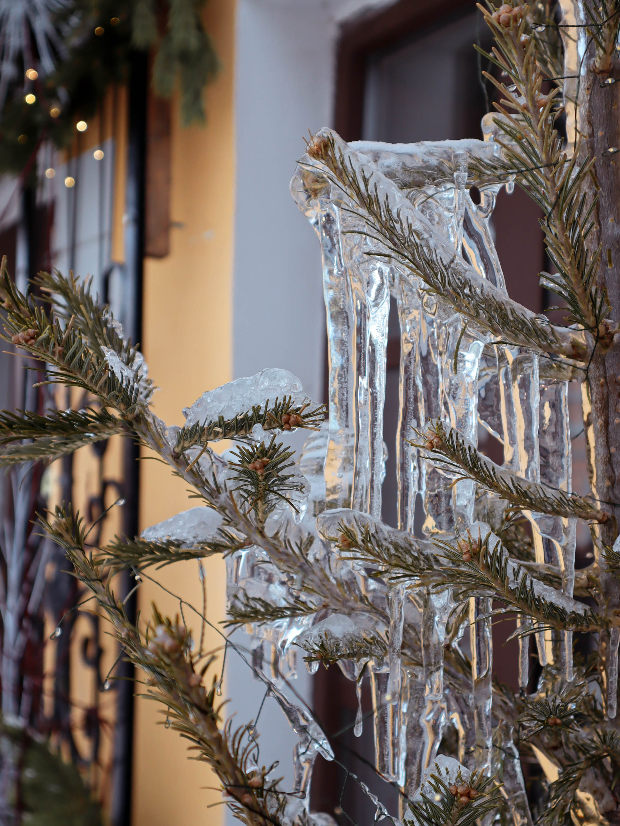 Новогодняя Тула. Фотограф Маша Корнеева