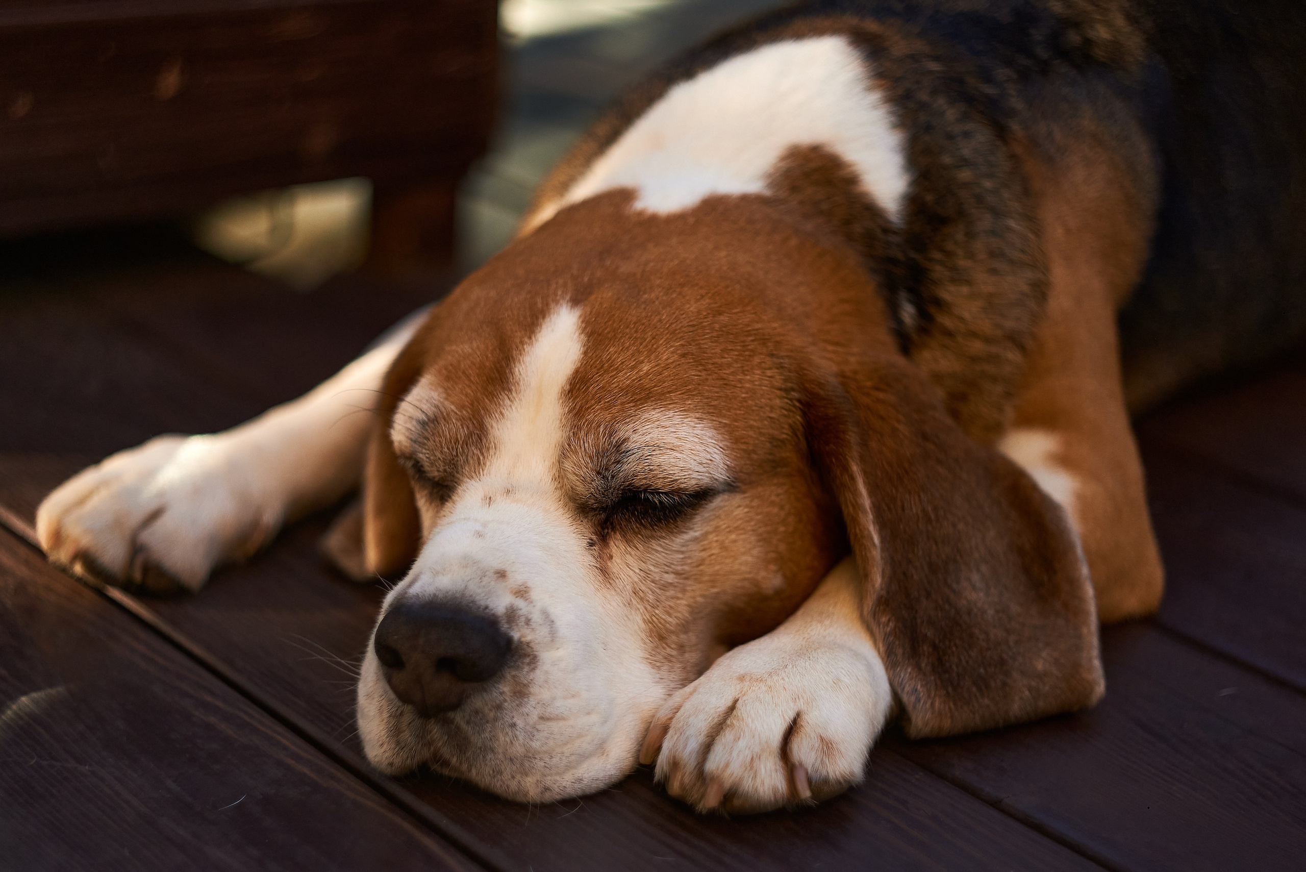 Nikon D850+Helios 44-2 2/58