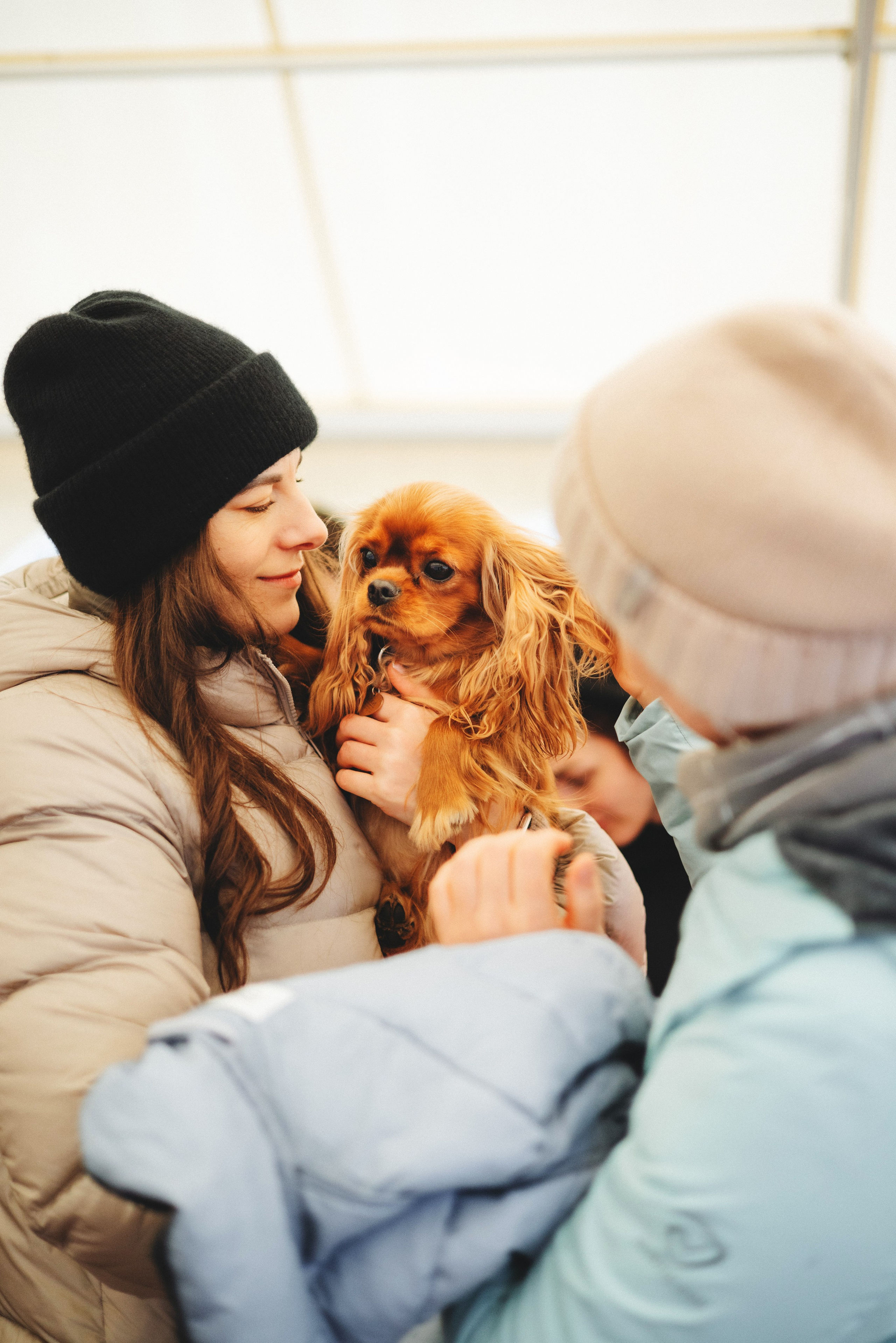 Встреча ККЧС. Фотограф анималист Осипчикова Мария