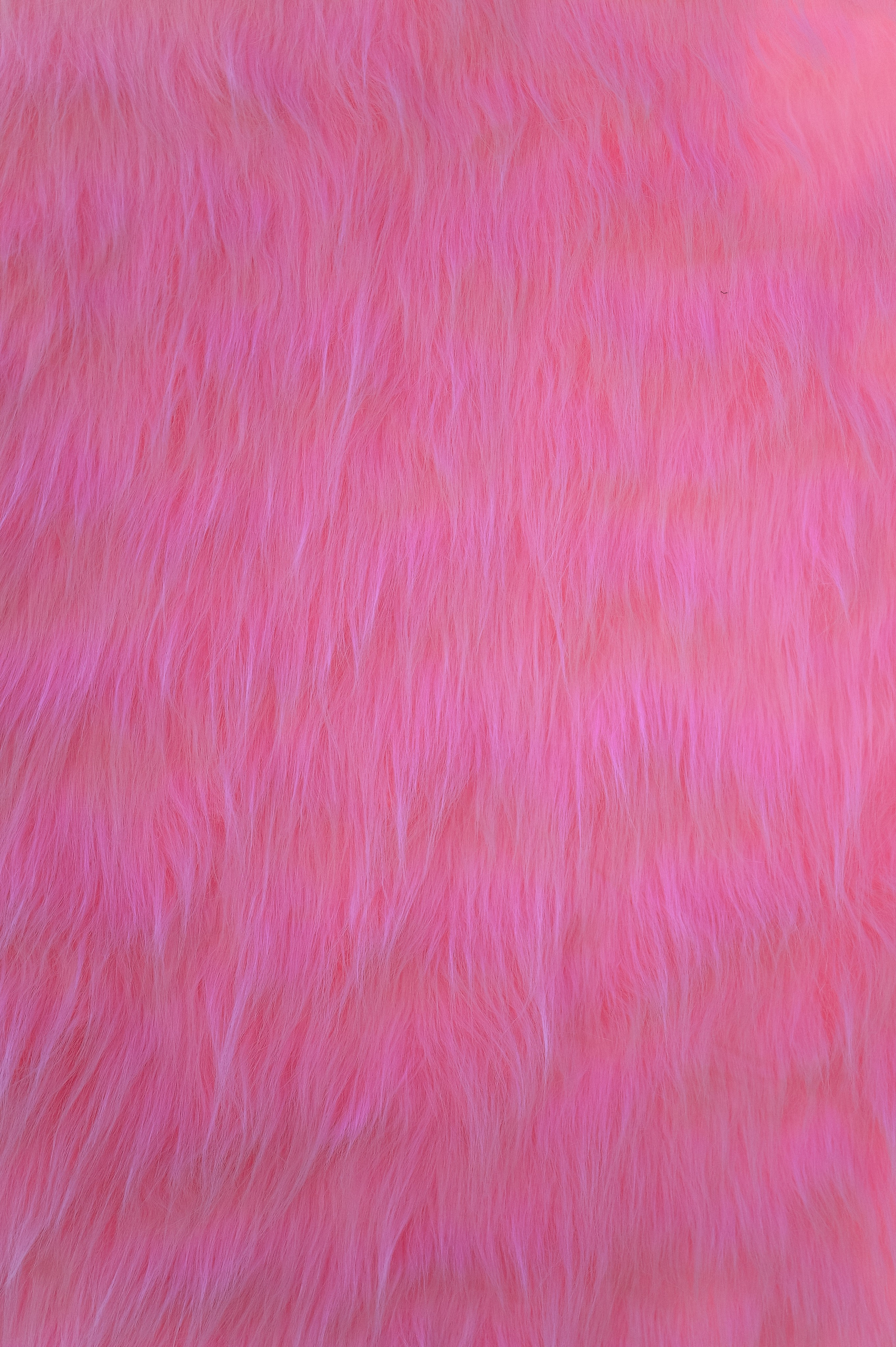 Саша + Полина. Свадебный и семейный фотограф Волгоград Москва