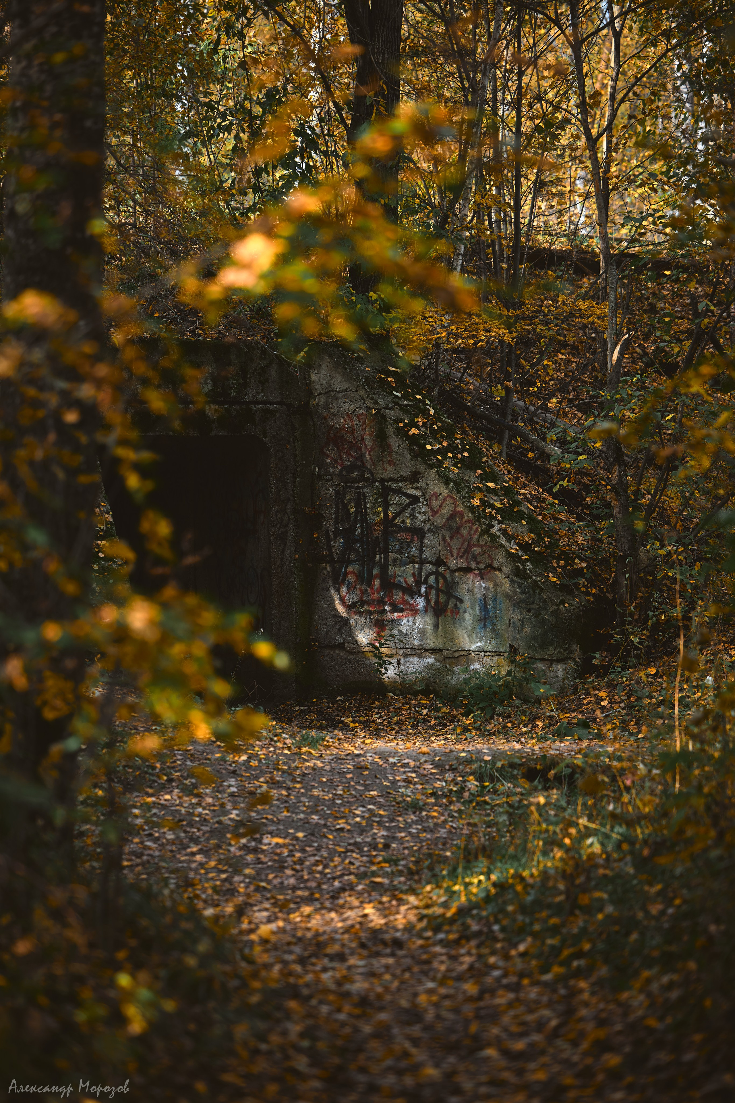 Осень в деталях. Фотограф в Екатеринбурге Александр Морозов