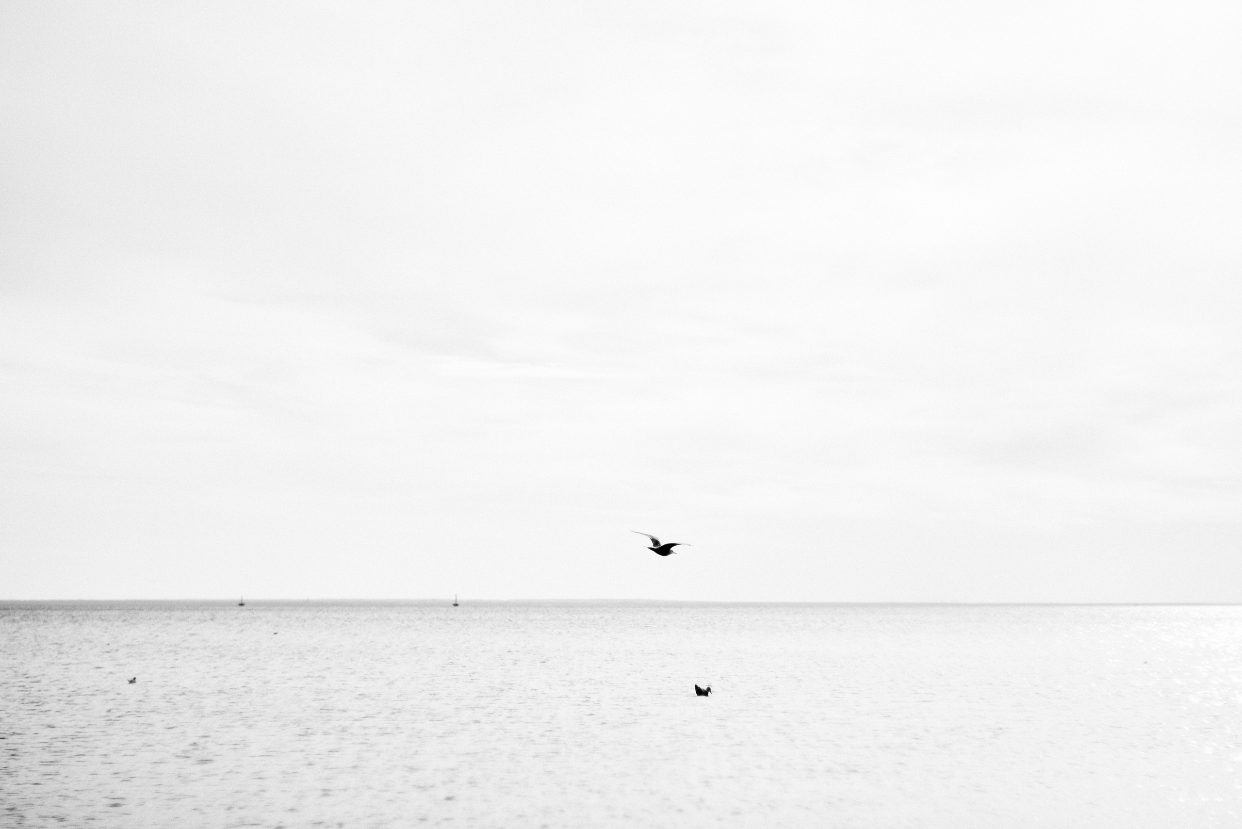 L19. Свадебный фотограф Санкт-Петербург DanyaPhotoart