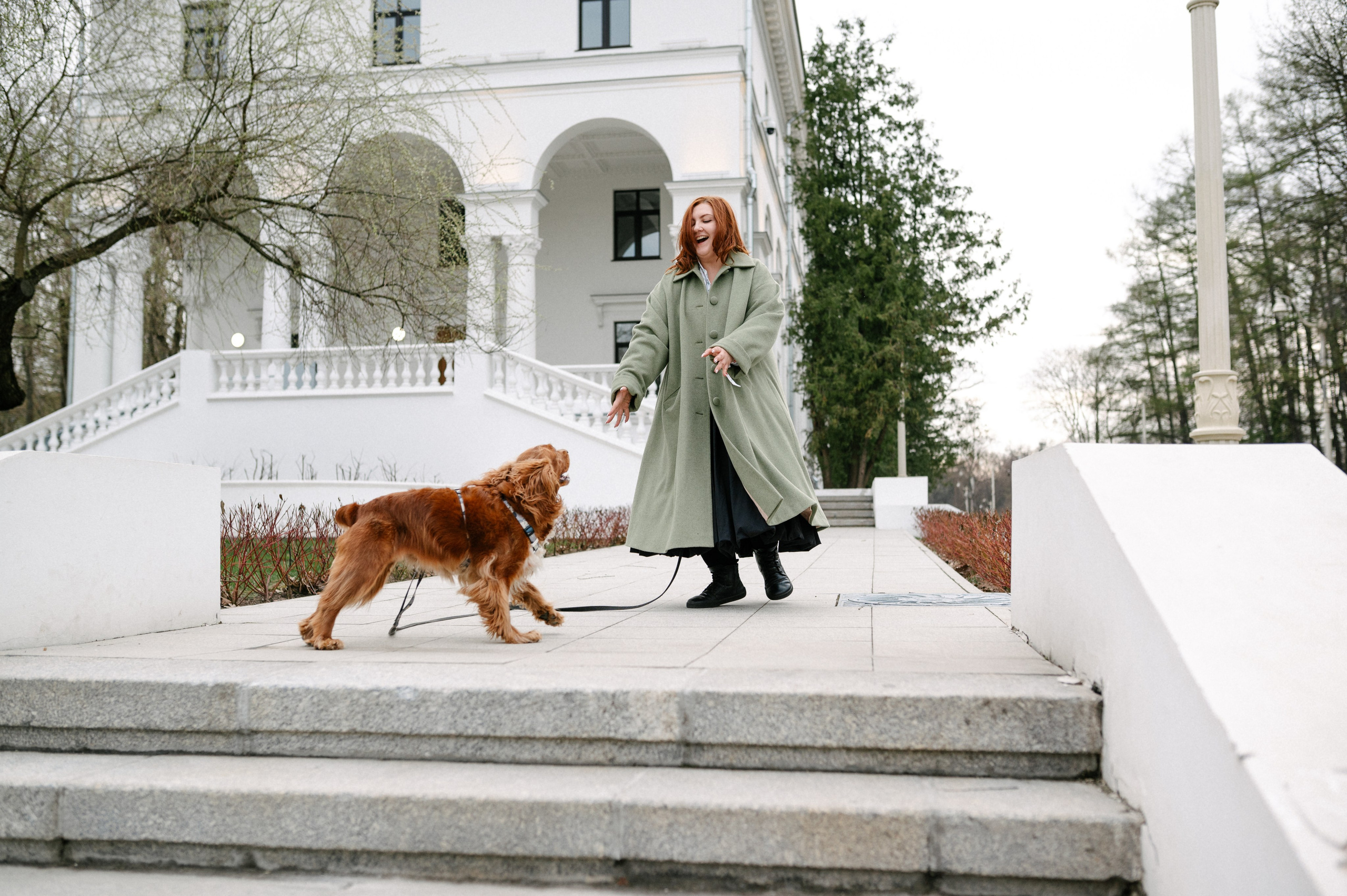 Рыжая команда. Фотограф анималист в Москве Ольга Агушева