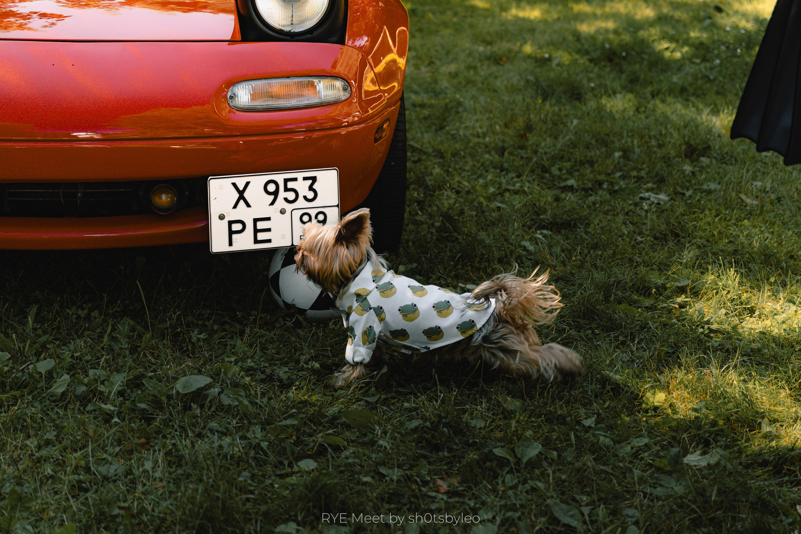 Масштабный летний фестиваль RYE Meet — встреча клуба любителей автомобилей старше 25-лет. Автомобильный фотограф Антон Цырулев