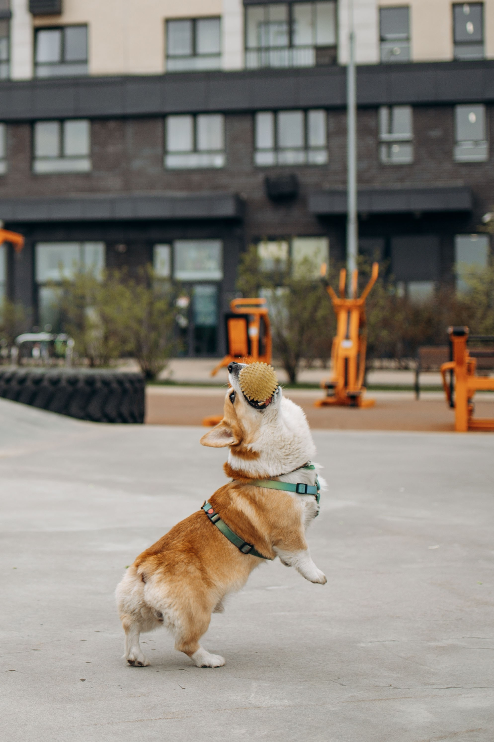 Екатерина и Альфи