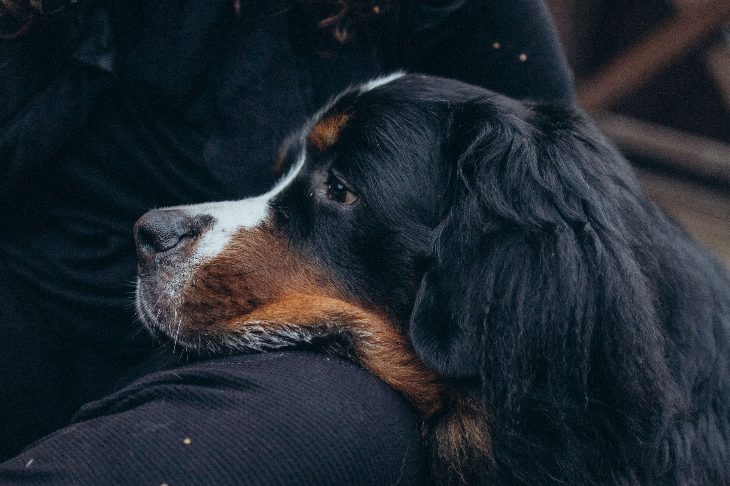 Таня и Тери