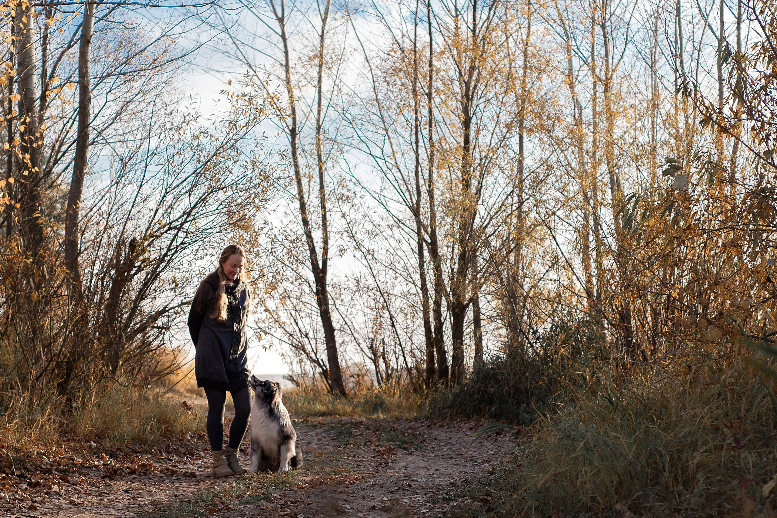 Юлия и Амур. Фотограф анималист в Казани Алина Сулейманова. Фотограф животных