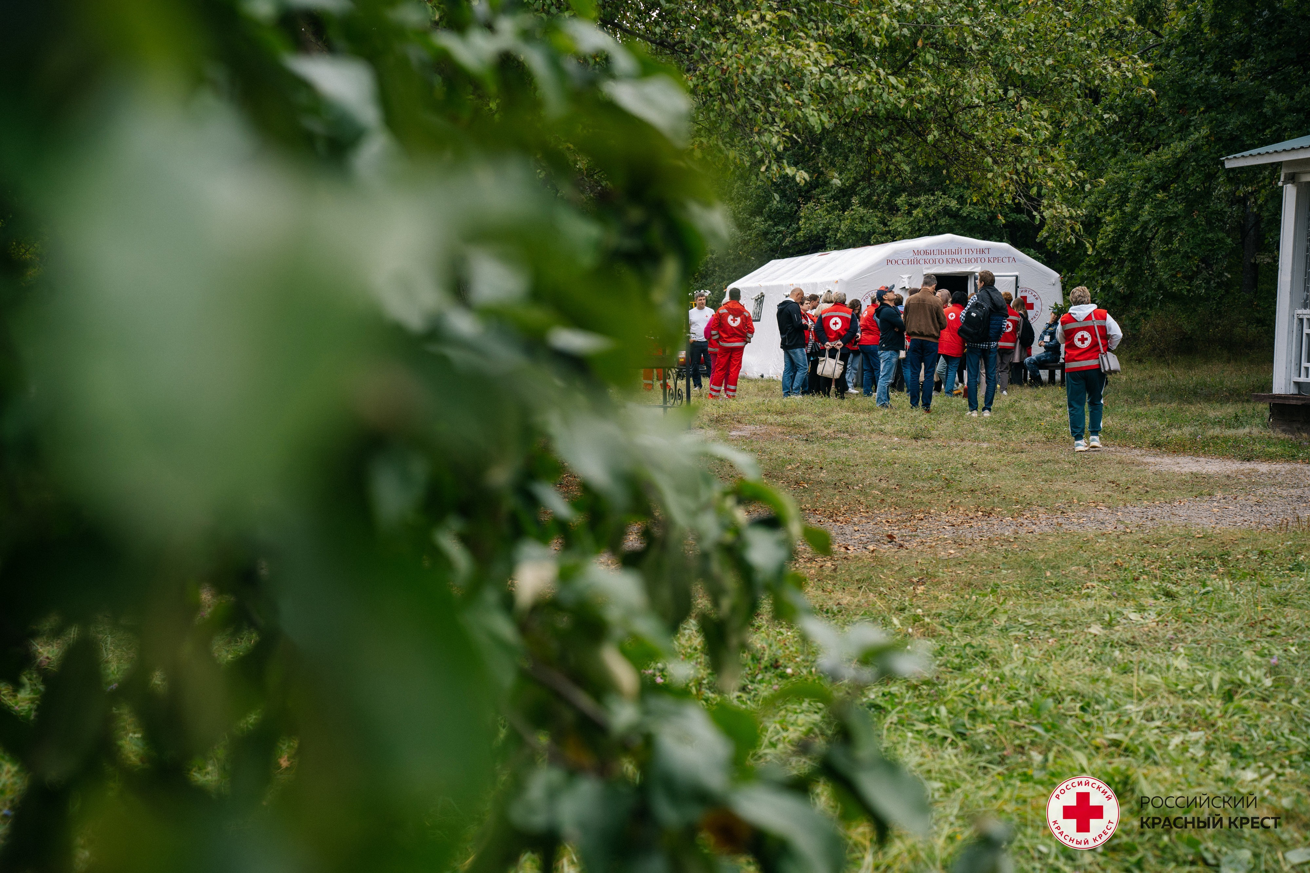 Красный крест | Дегас, медвежья берлога. Фотограф в Воронеже Ольга Космодемьянская