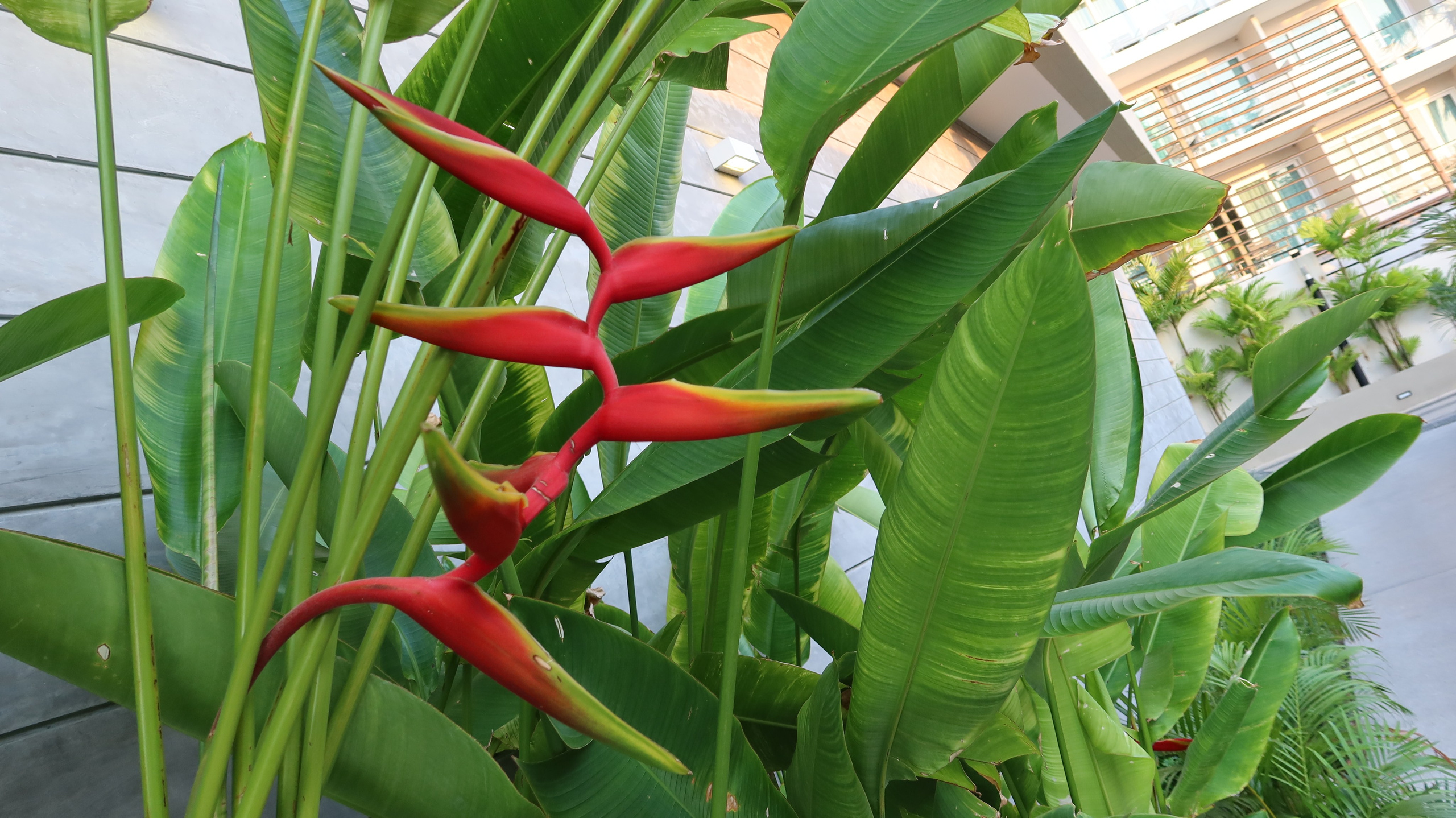 Тайланд 2020 г. Улица, люди, жизнь…