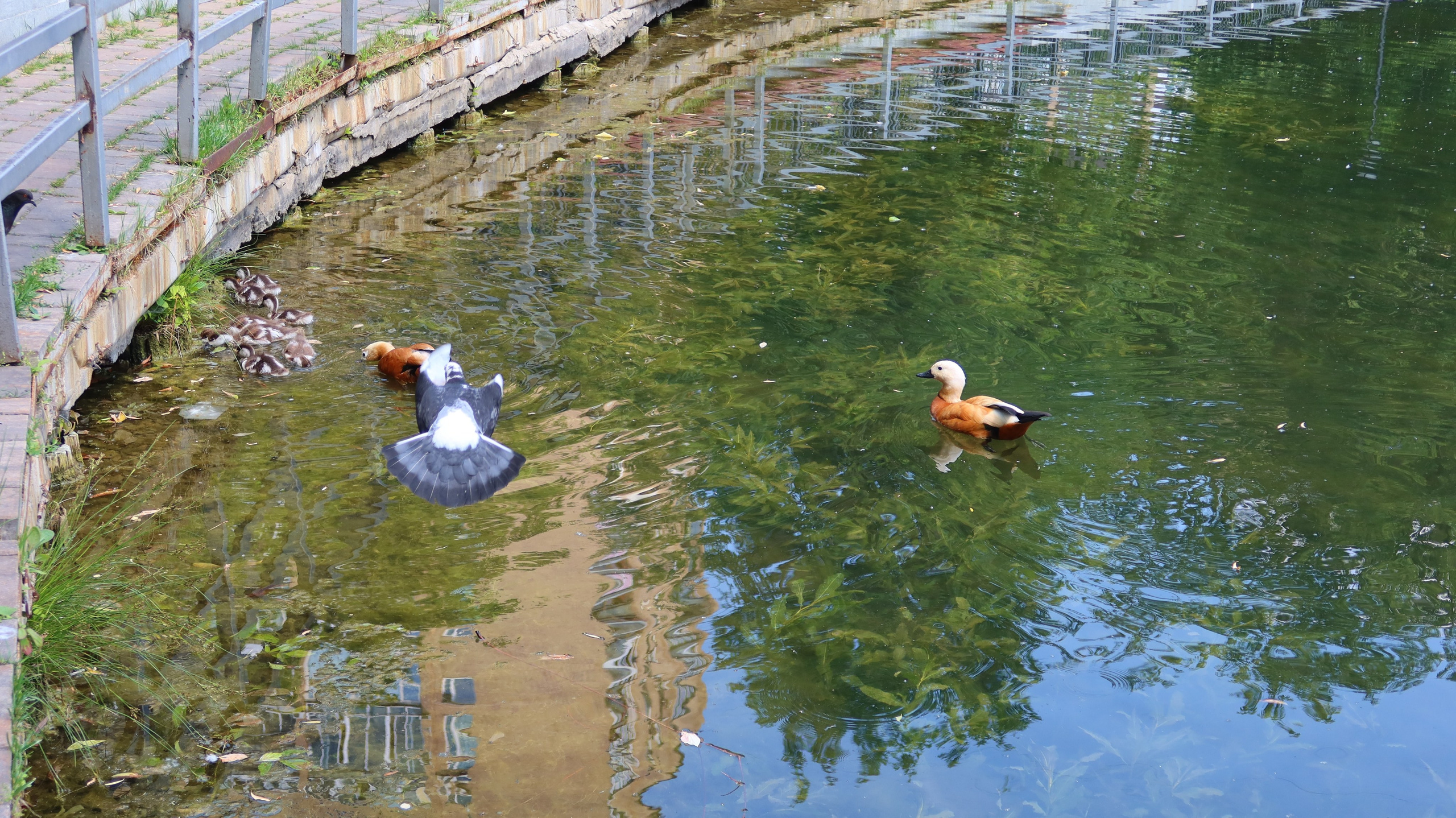 Антроповский сквер. Улица, люди, жизнь…