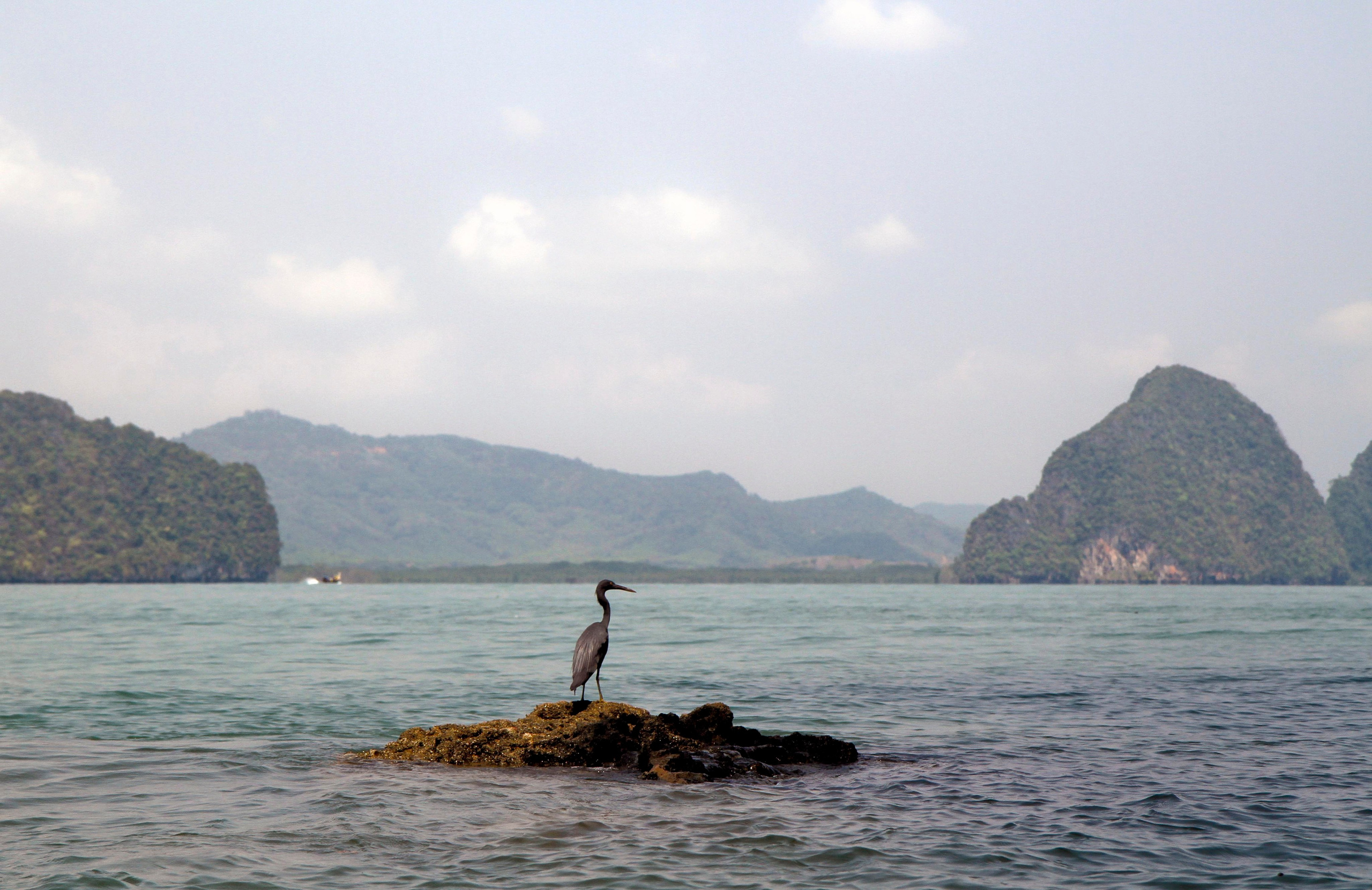 Тайланд 2012 г. Улица, люди, жизнь…