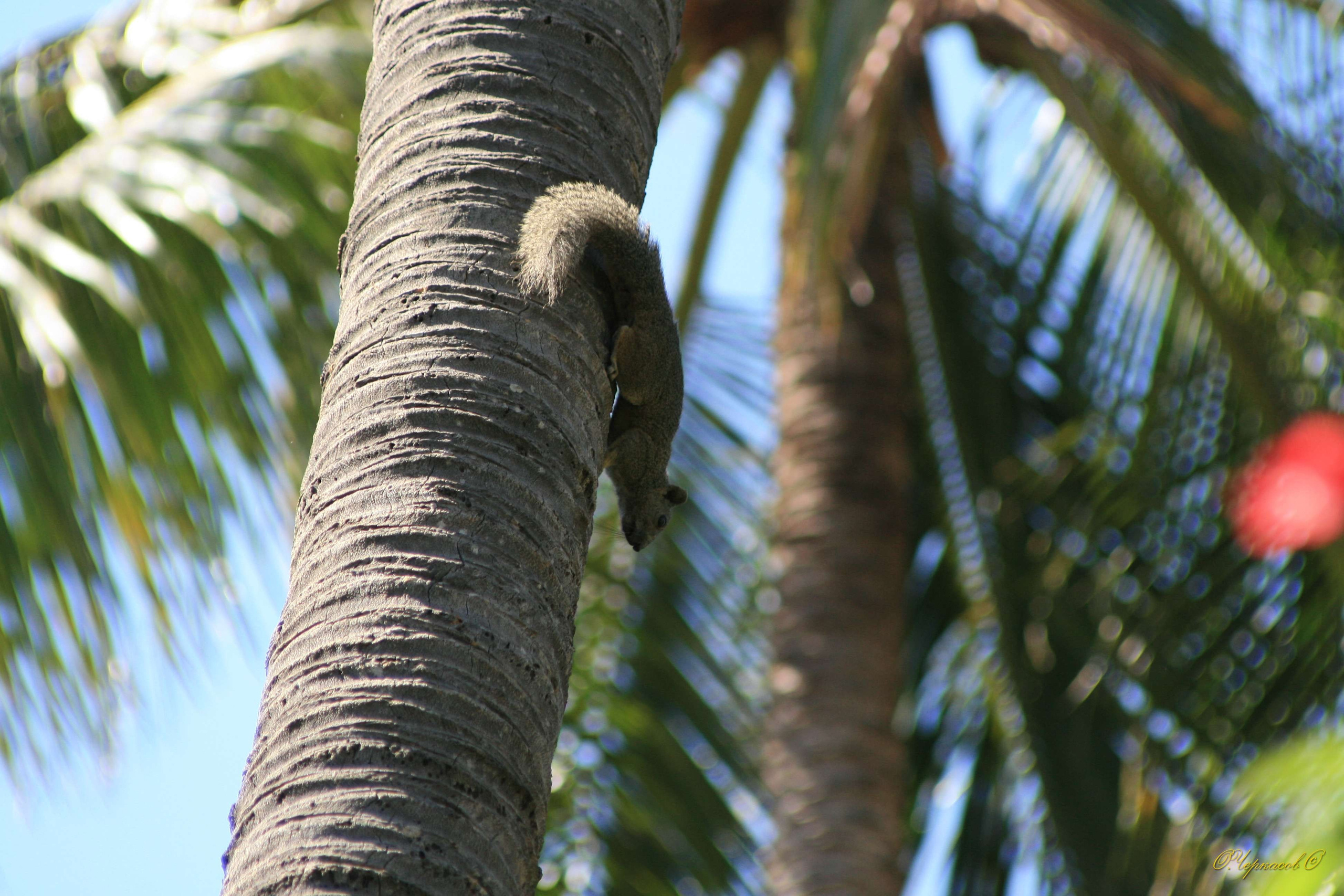 Вьетнам 2008 г. Улица, люди, жизнь…