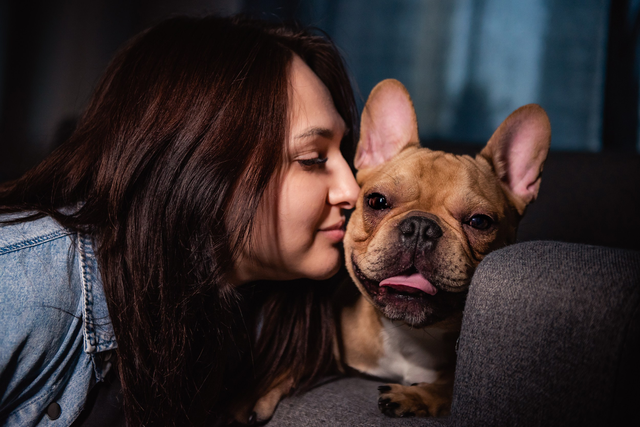 Бульдоги и компания. Семейный Фотограф в Москве Ирина Хохлова