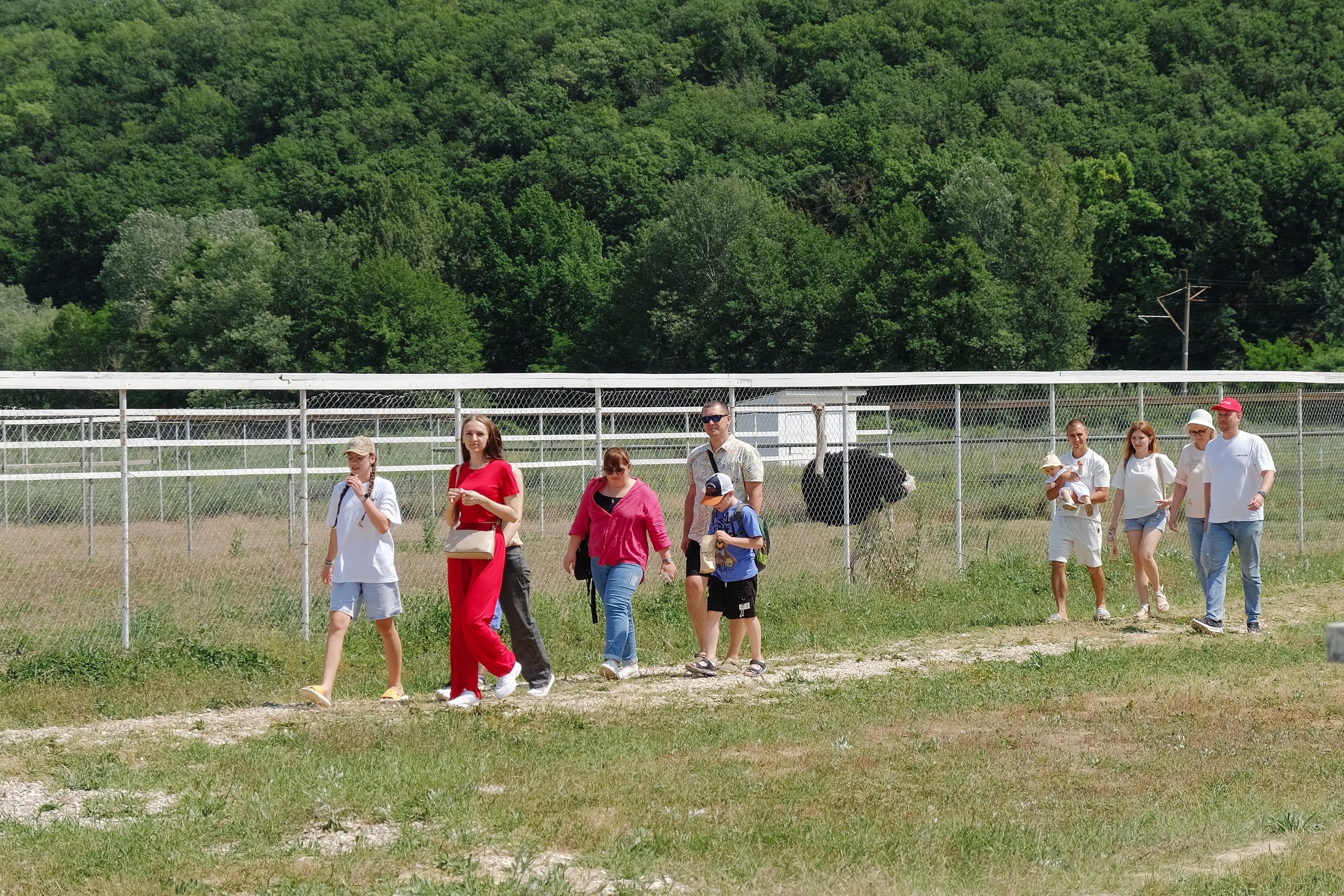 Репортаж на ферме. Профессиональная фотосъемка в Крыму. Натуральные эмоции и живые кадры. Забронируйте дату прямо сейчас!