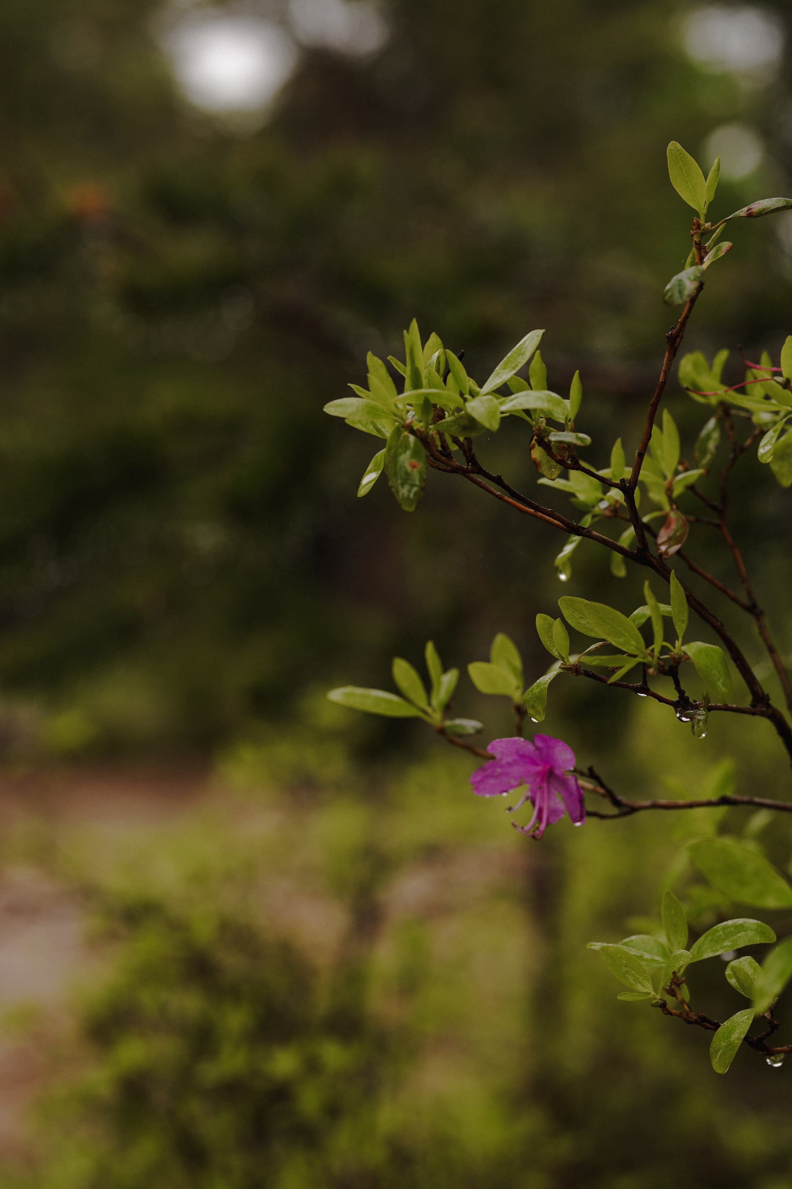 BAIKAL 06|24. Фотограф Виктория Виноградова
