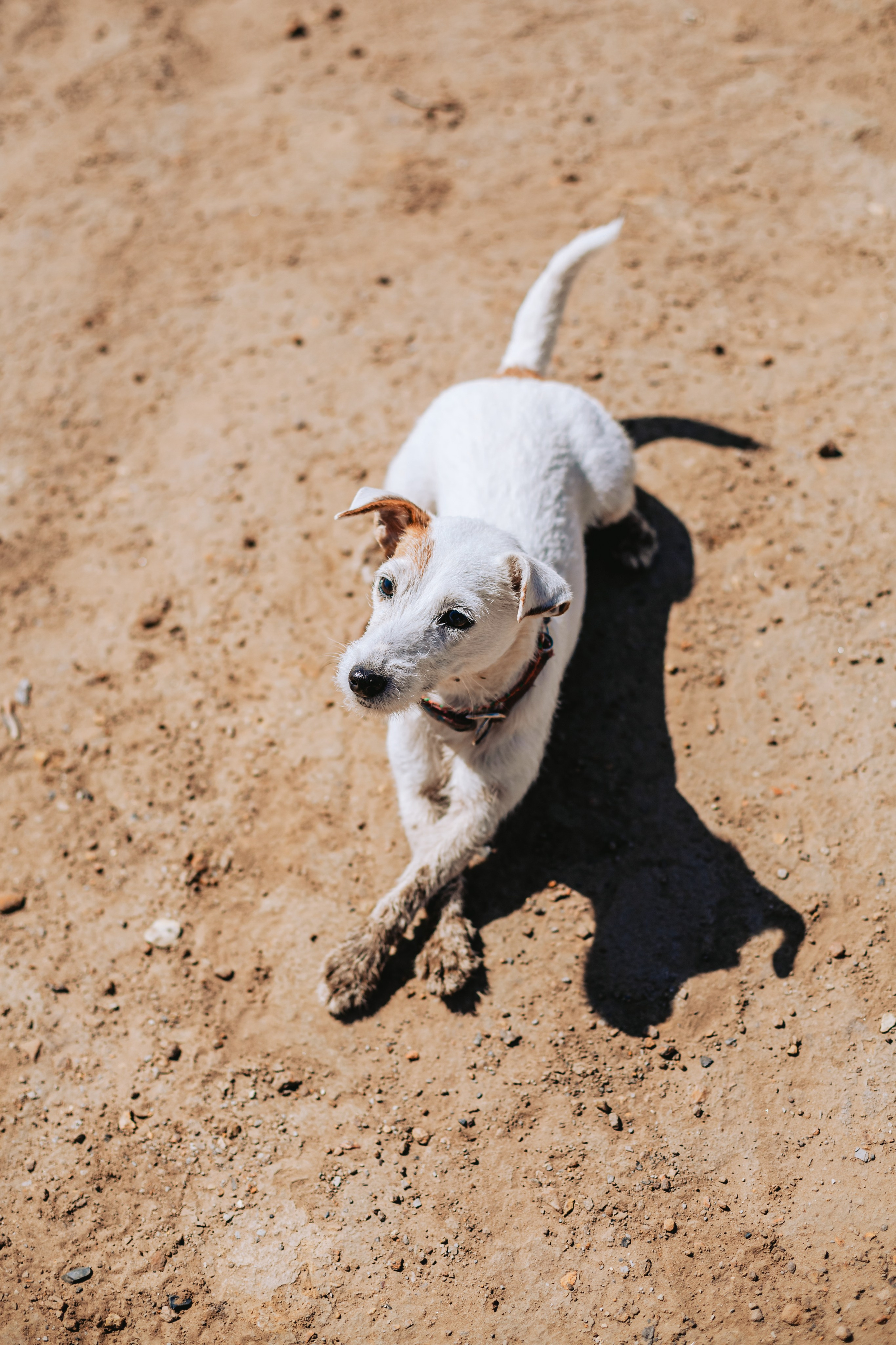 Кондуки. Фотограф-анималист Татьяна Степанова
