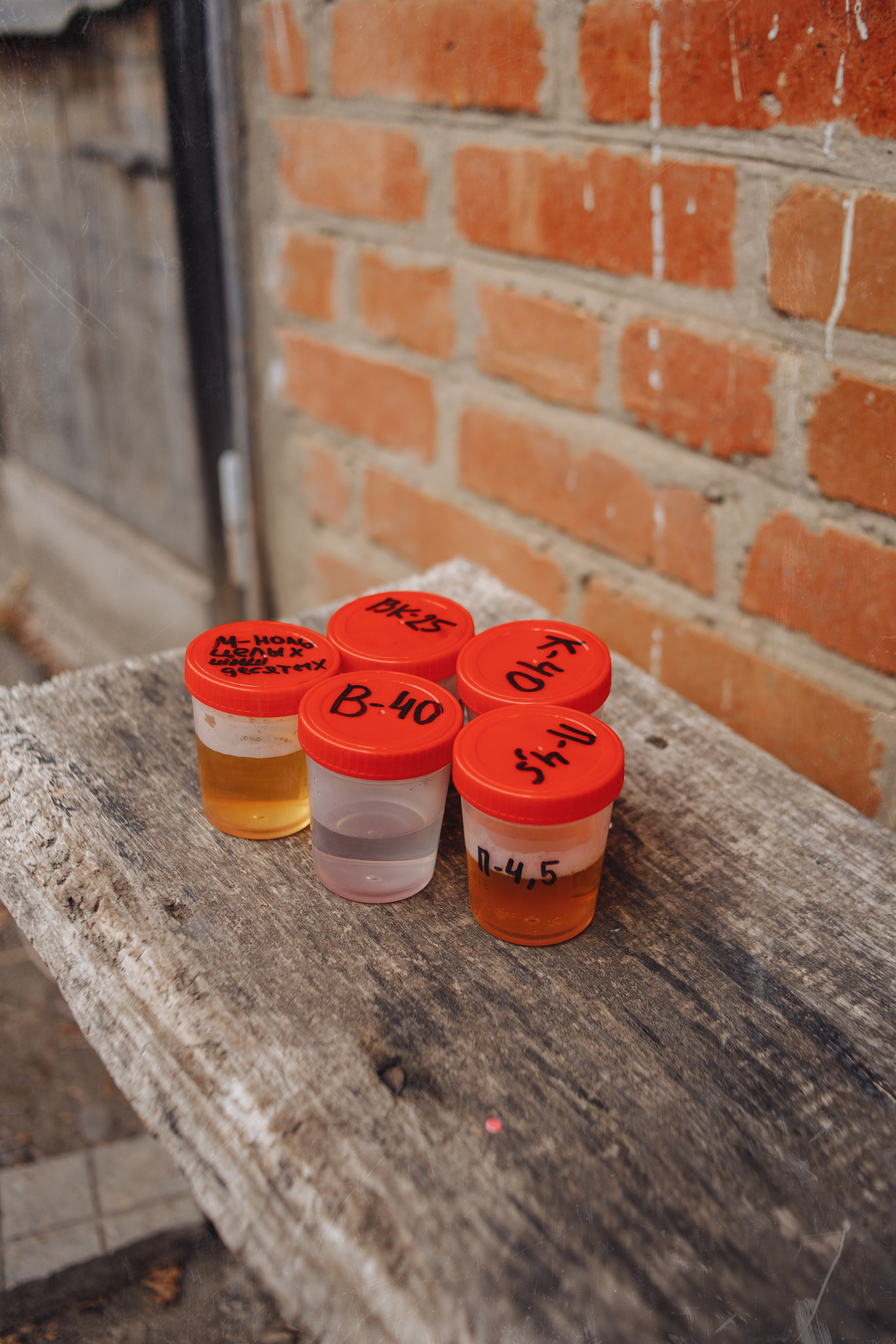 Свадебная фотосессия в стиле 90-х. Свадебный и семейный фотограф в Краснодарском крае Мария Данилкина