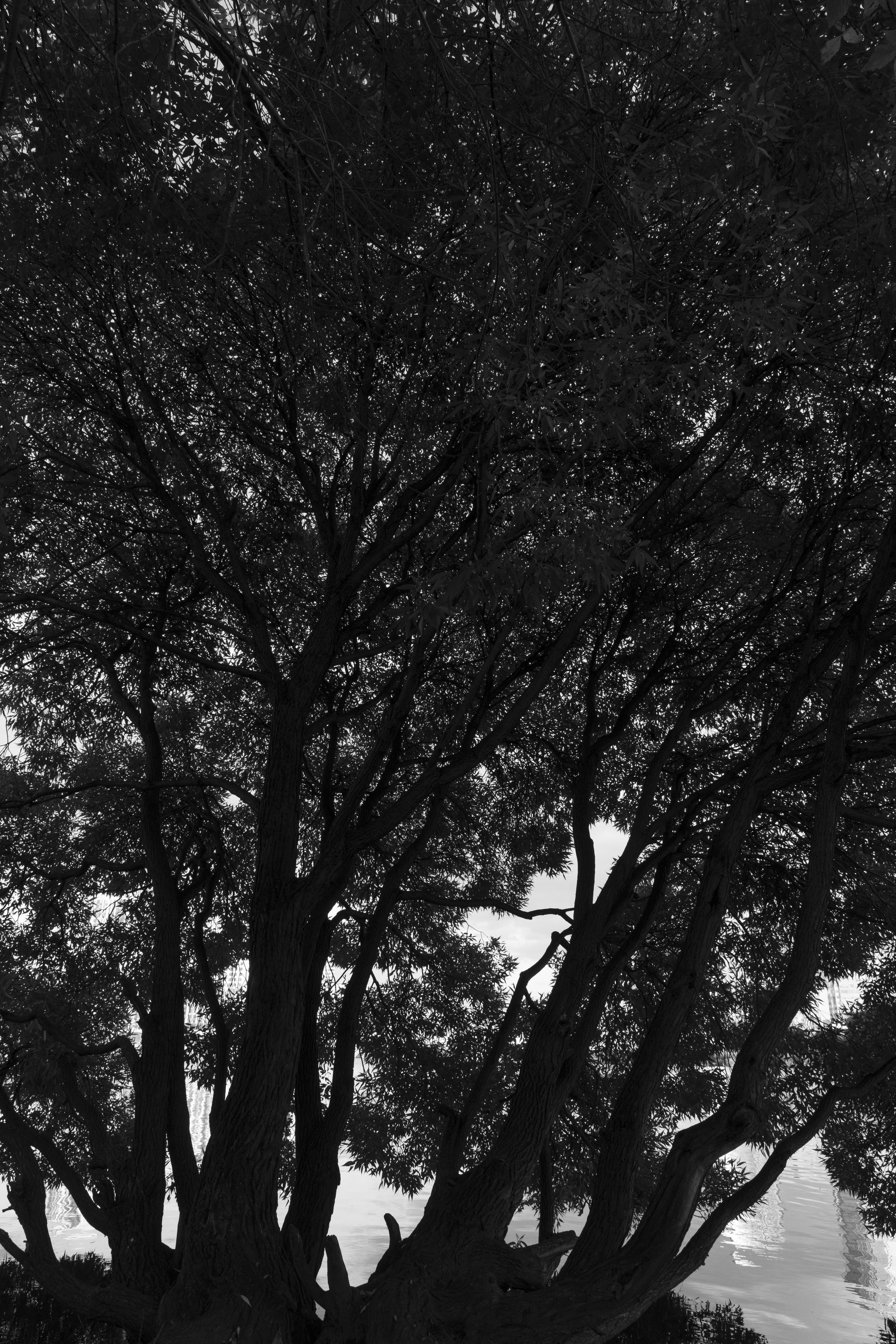 Прогулка по Екатеринбургу. Денис Марков — фотограф в Екатеринбурге