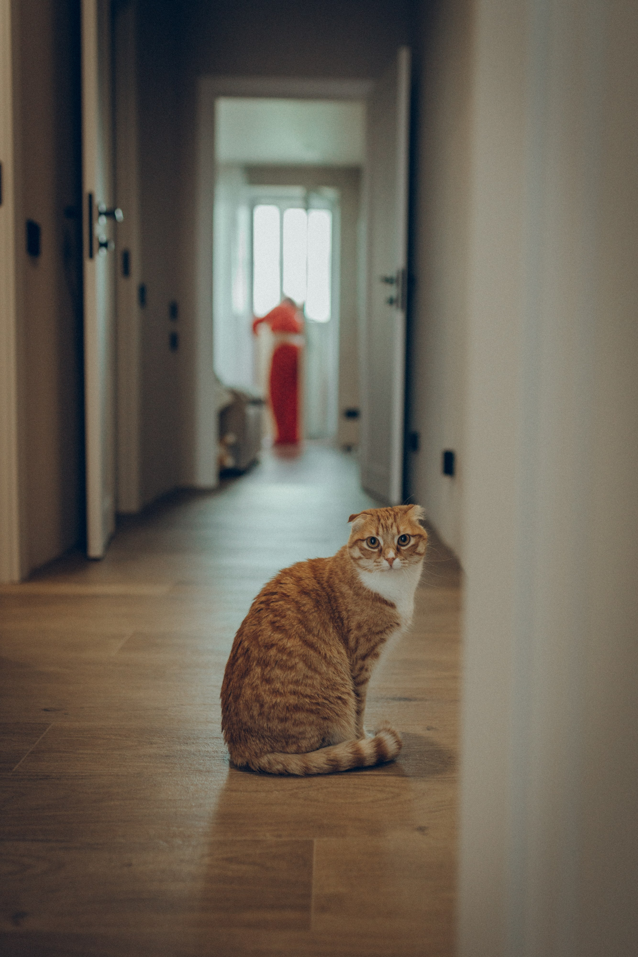 Аня & Кирилл. Семейный фотограф и фотограф на роды в Ростове-на-Дону Мухина Виктория