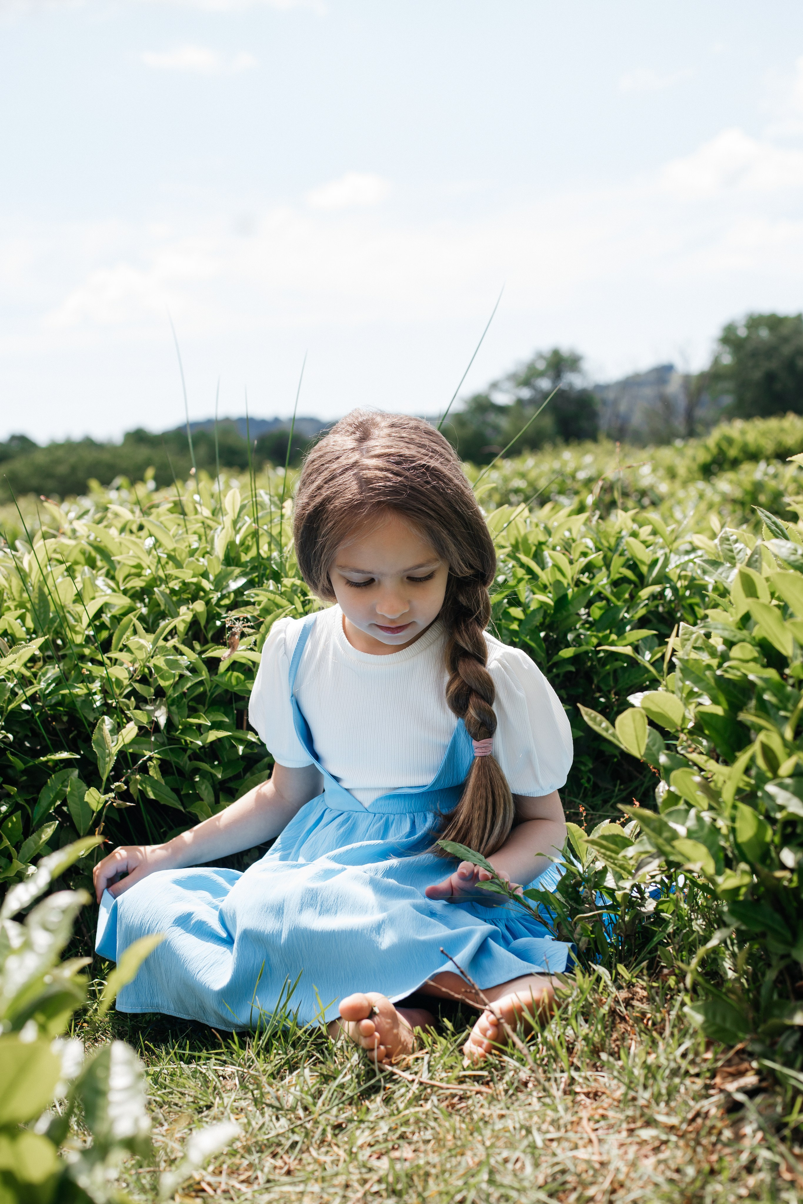 Tea plantation. Efimova Model Agency