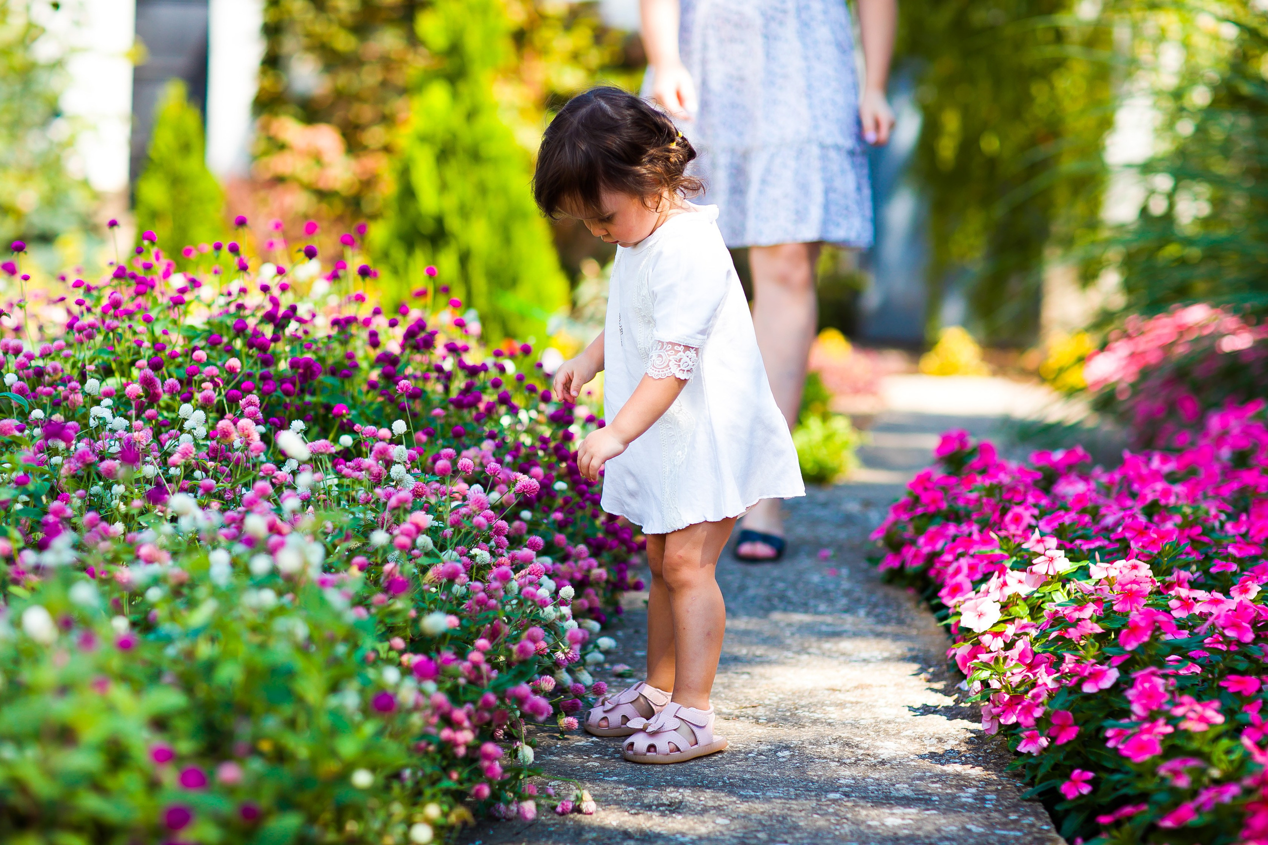 Крещение. Дизайн интерьера Керчь, дизайнер интерьера Еремина Мария Керчь, Симфер