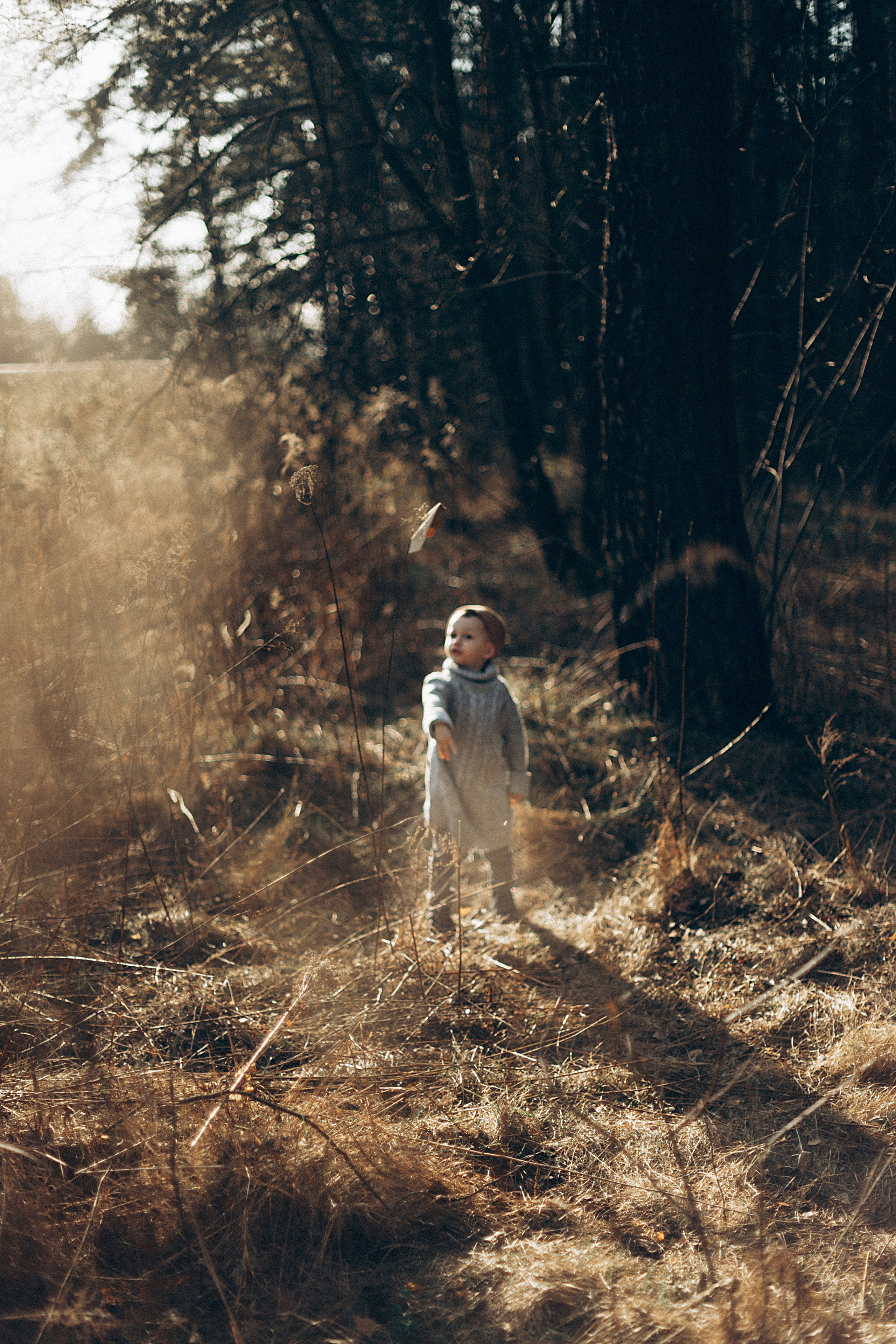 Птицы-самолеты. Репортажный и детский фотограф в Минске