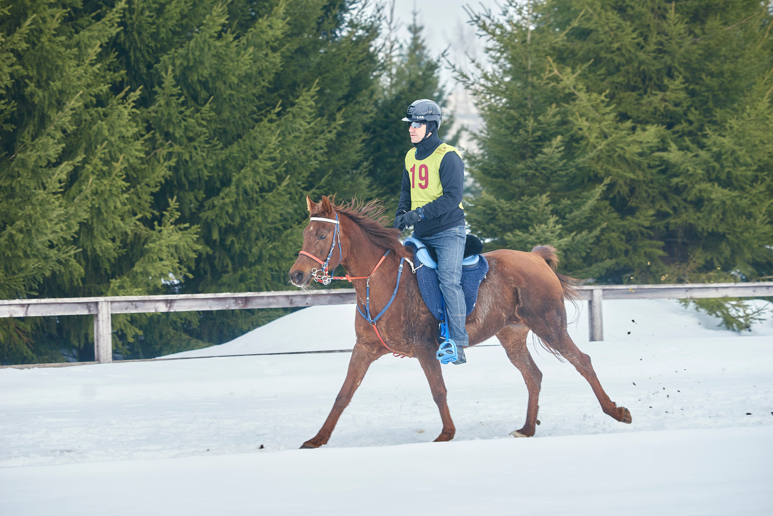 HORSE RACING. Фотограф Наталья Леонова